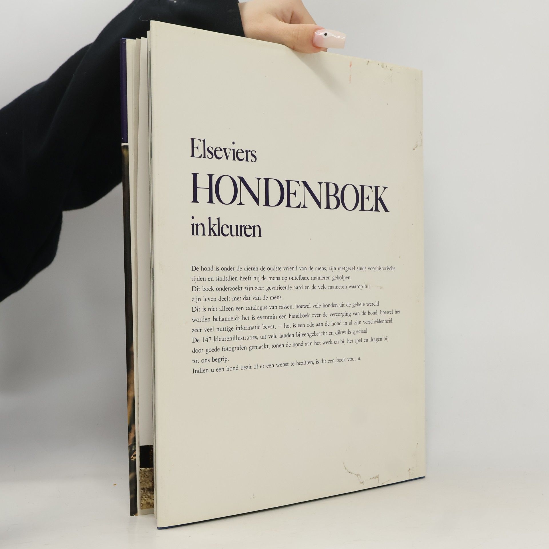 Wendy Boorer Hondeboek in kleuren