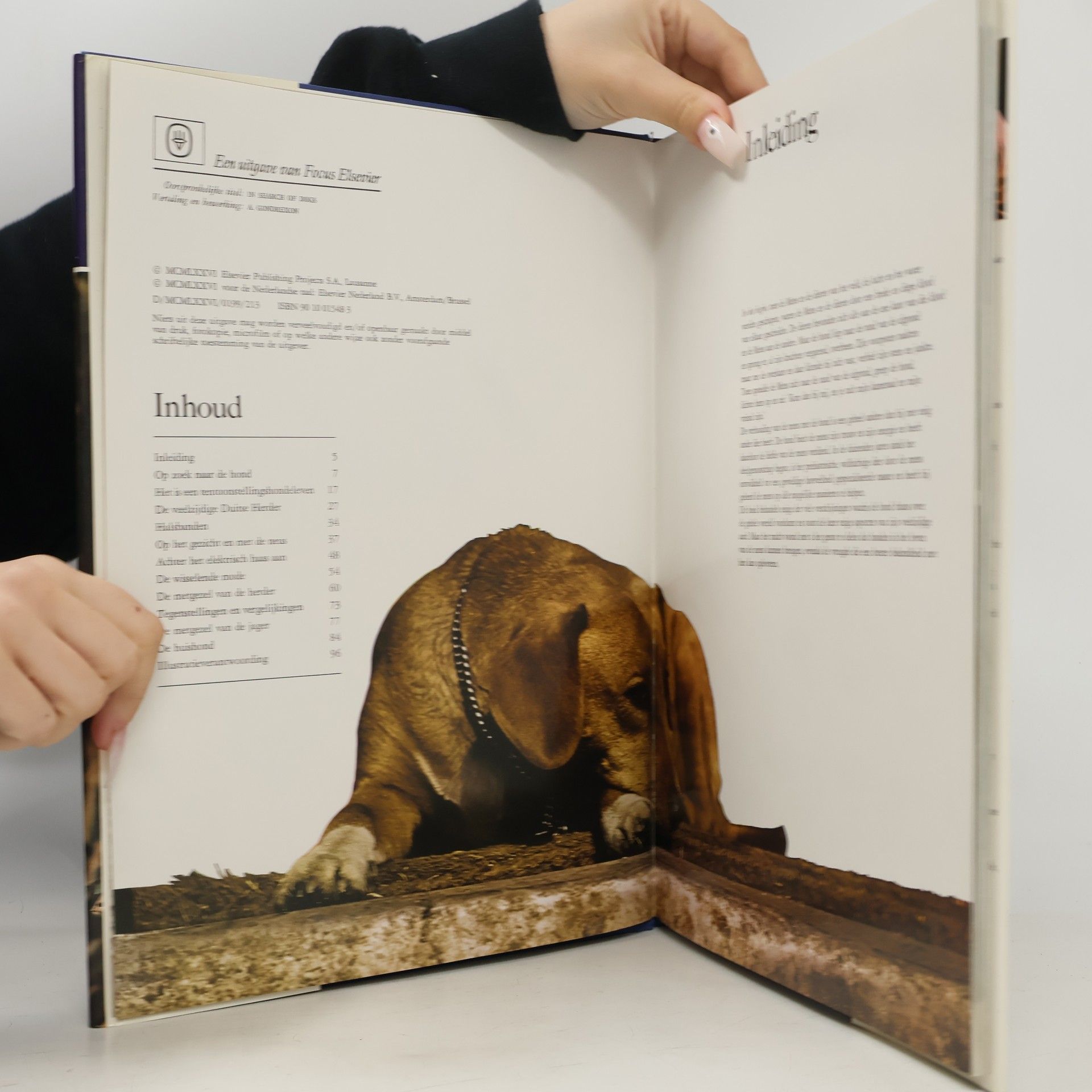 Wendy Boorer Hondeboek in kleuren