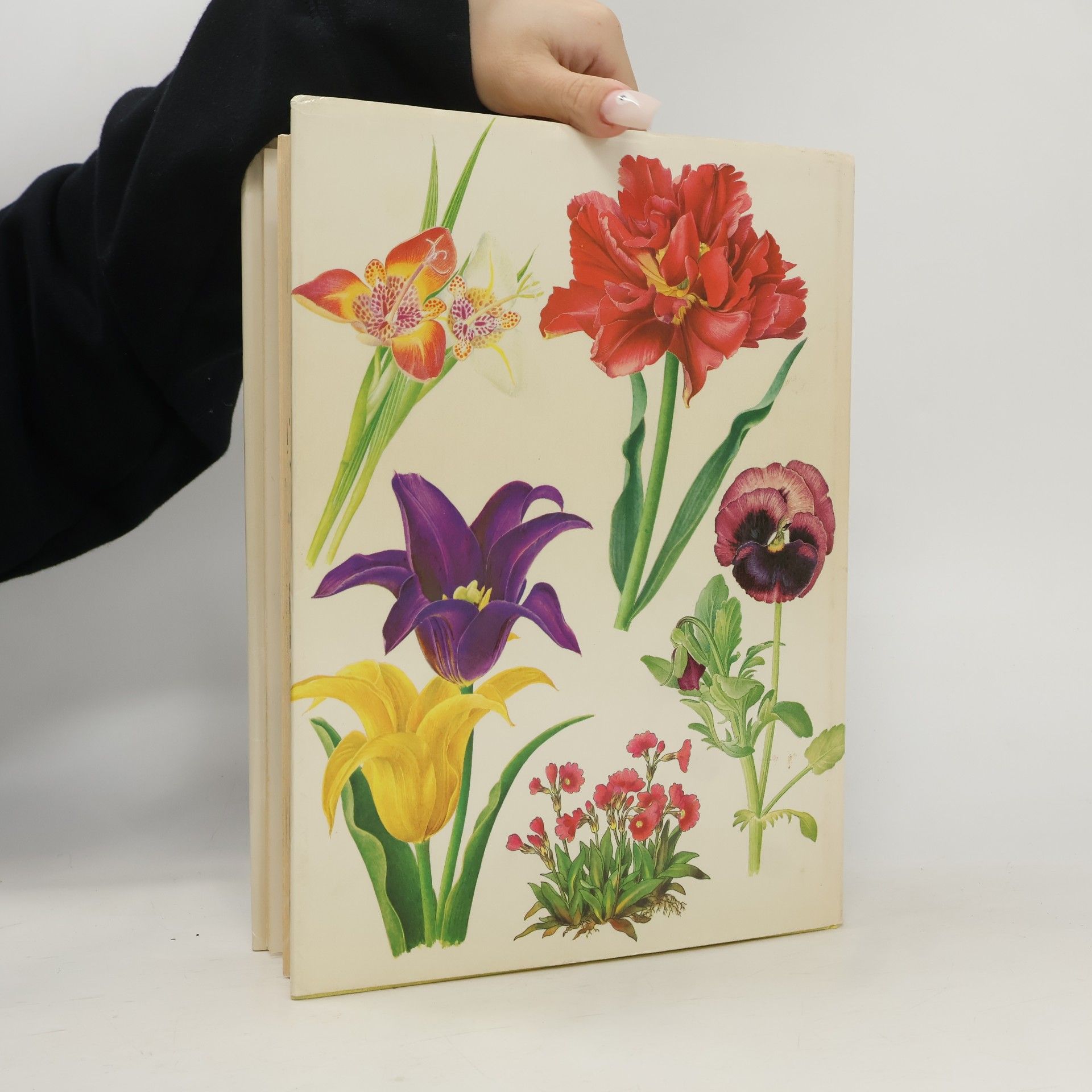 František Severa Het grote bloemenboek in kleur