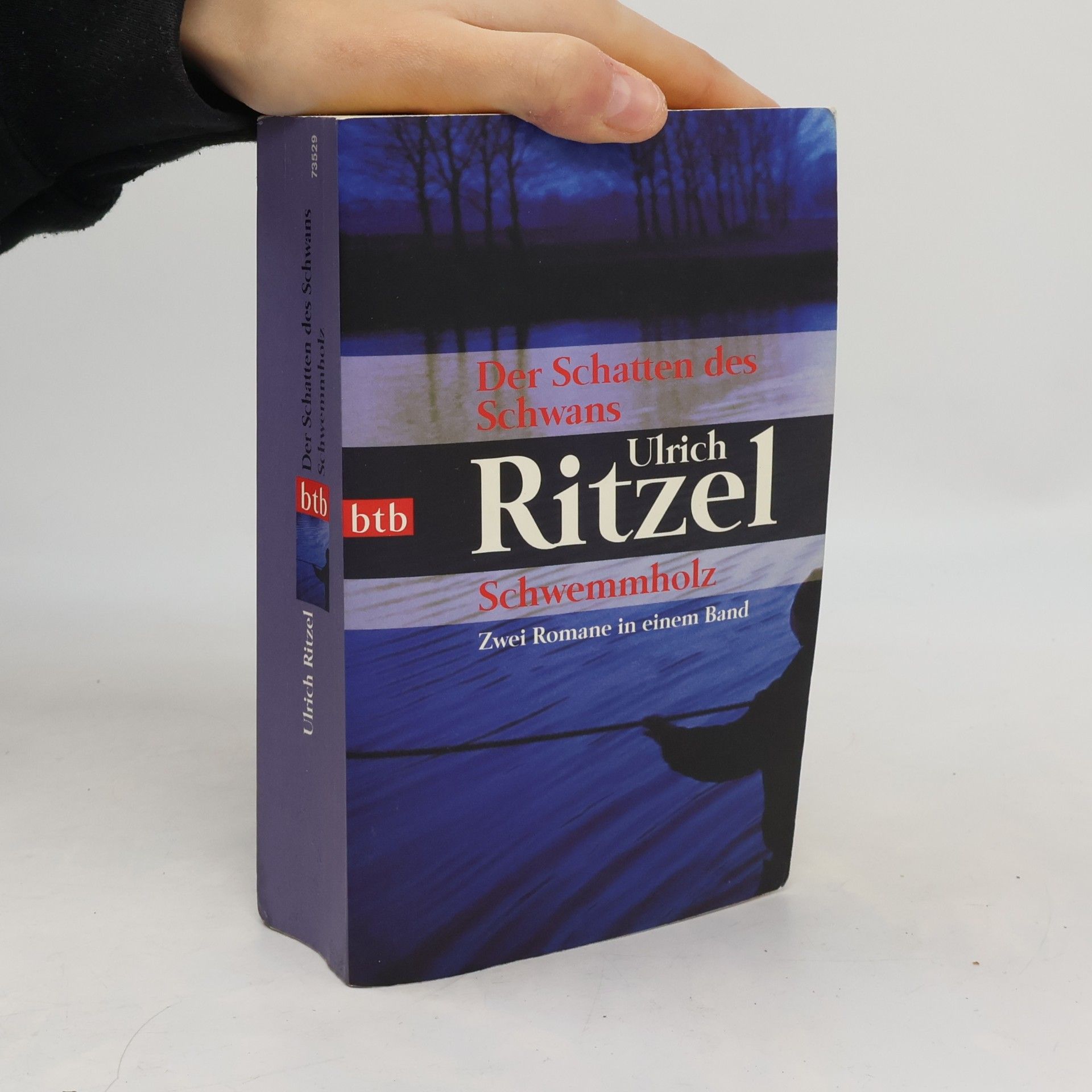 Der Schatten des Schwans