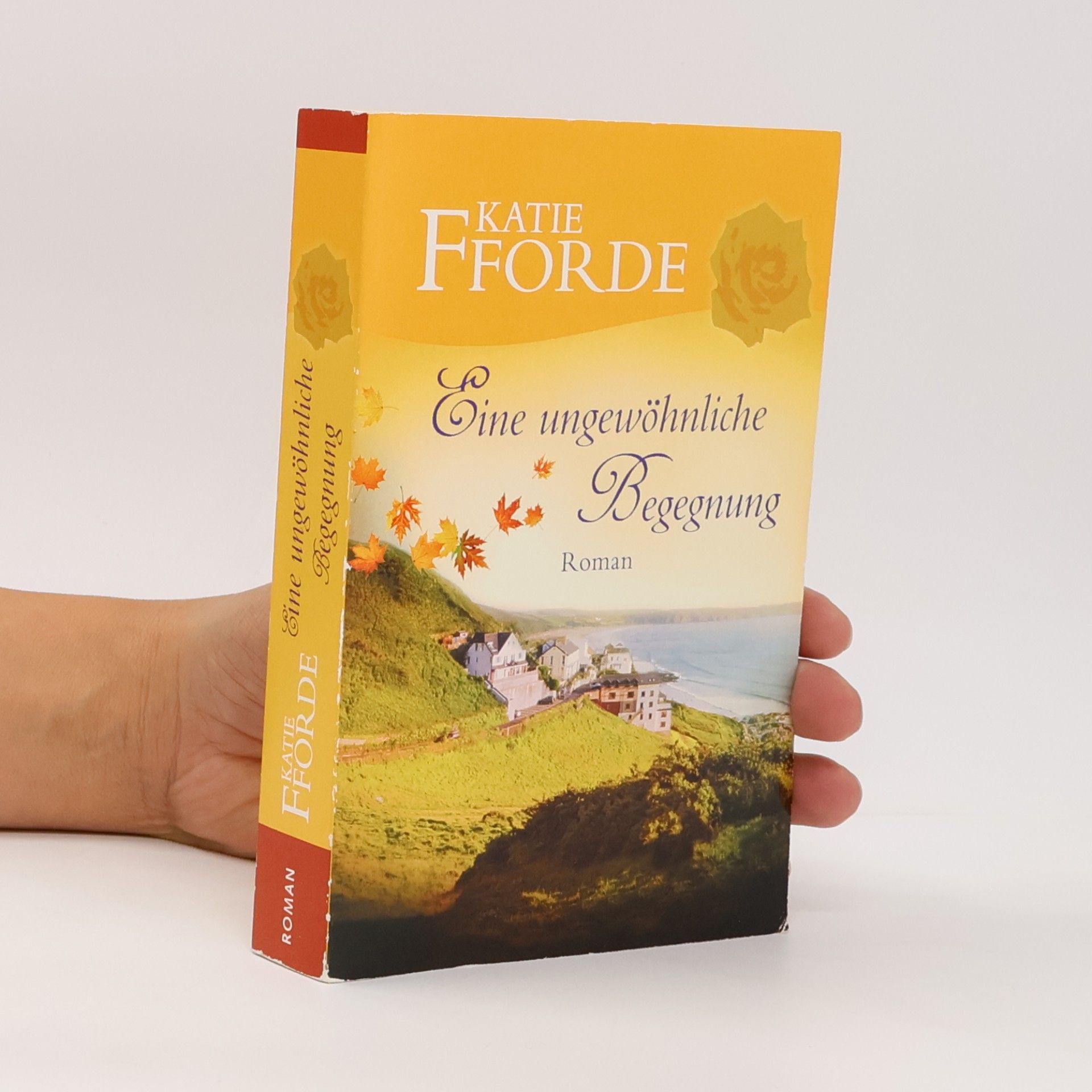 Katie Fforde Eine ungewöhnliche Begegnung
