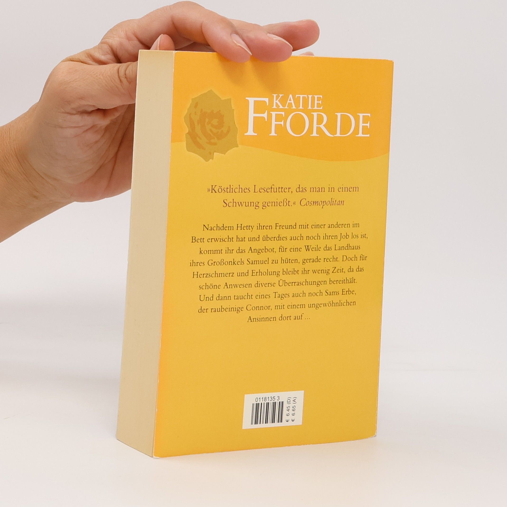 Katie Fforde Eine ungewöhnliche Begegnung