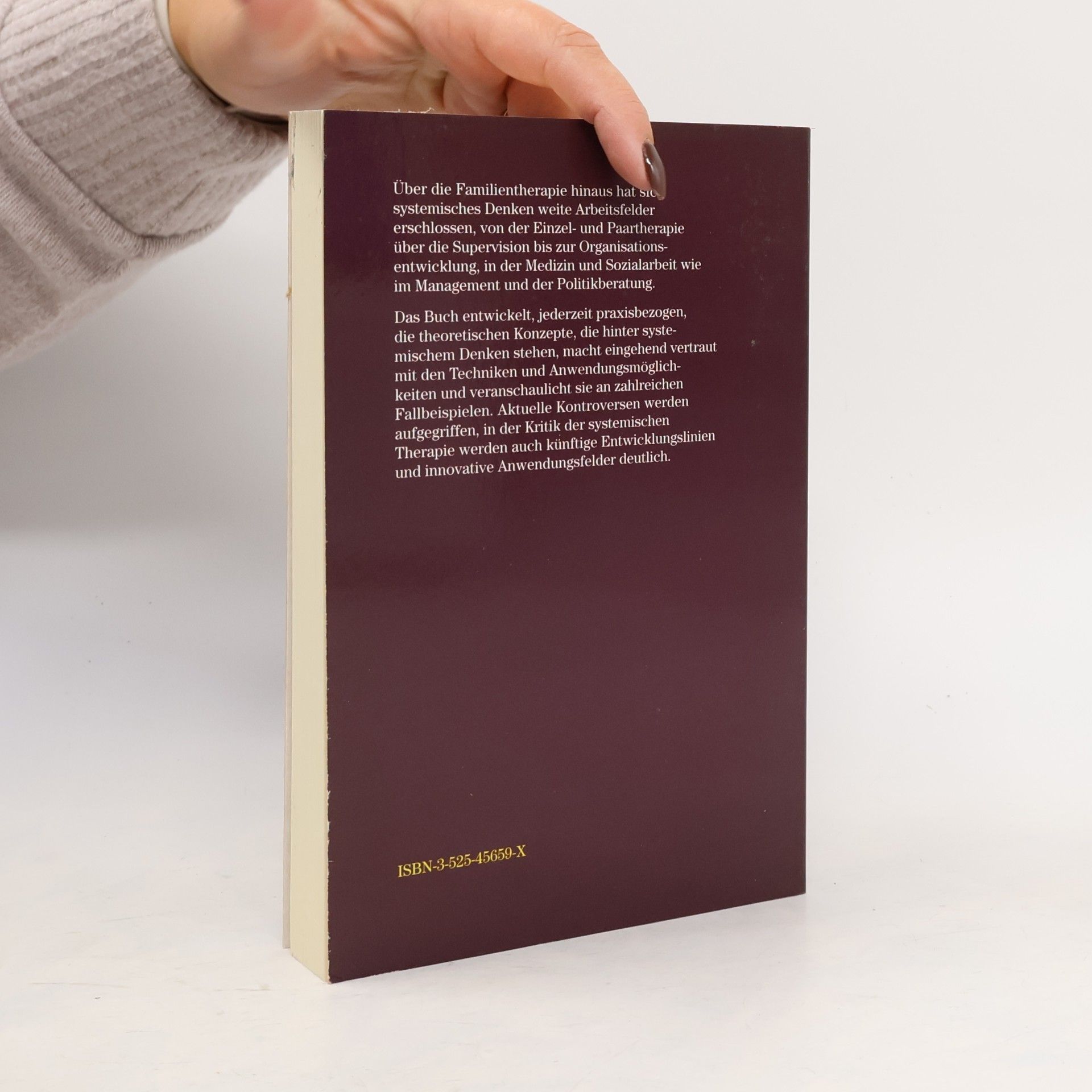 Arist von Schlippe Lehrbuch der systemischen Therapie und Beratung