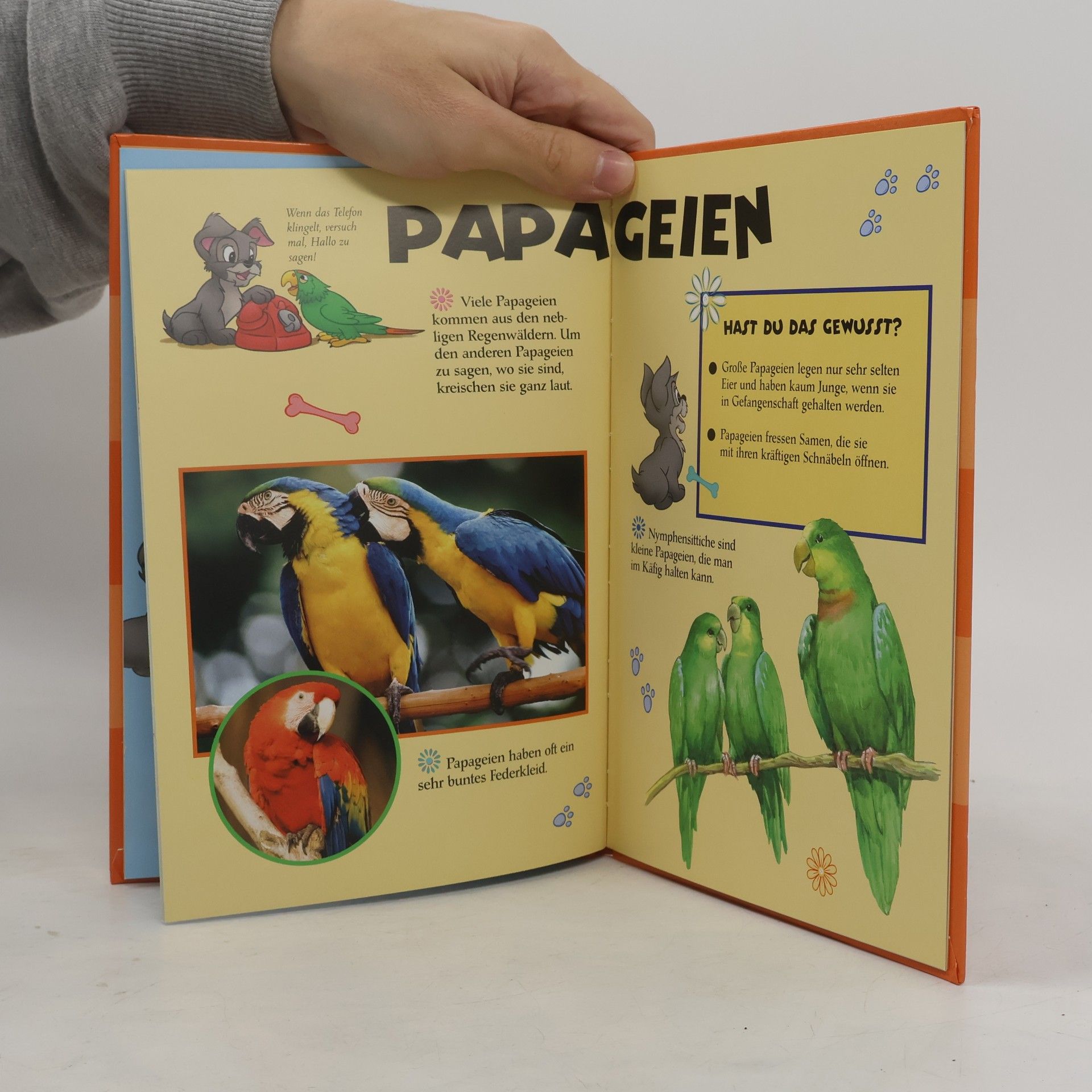 Peter Jepsen Meine bunte Welt - Unsere Haustiere