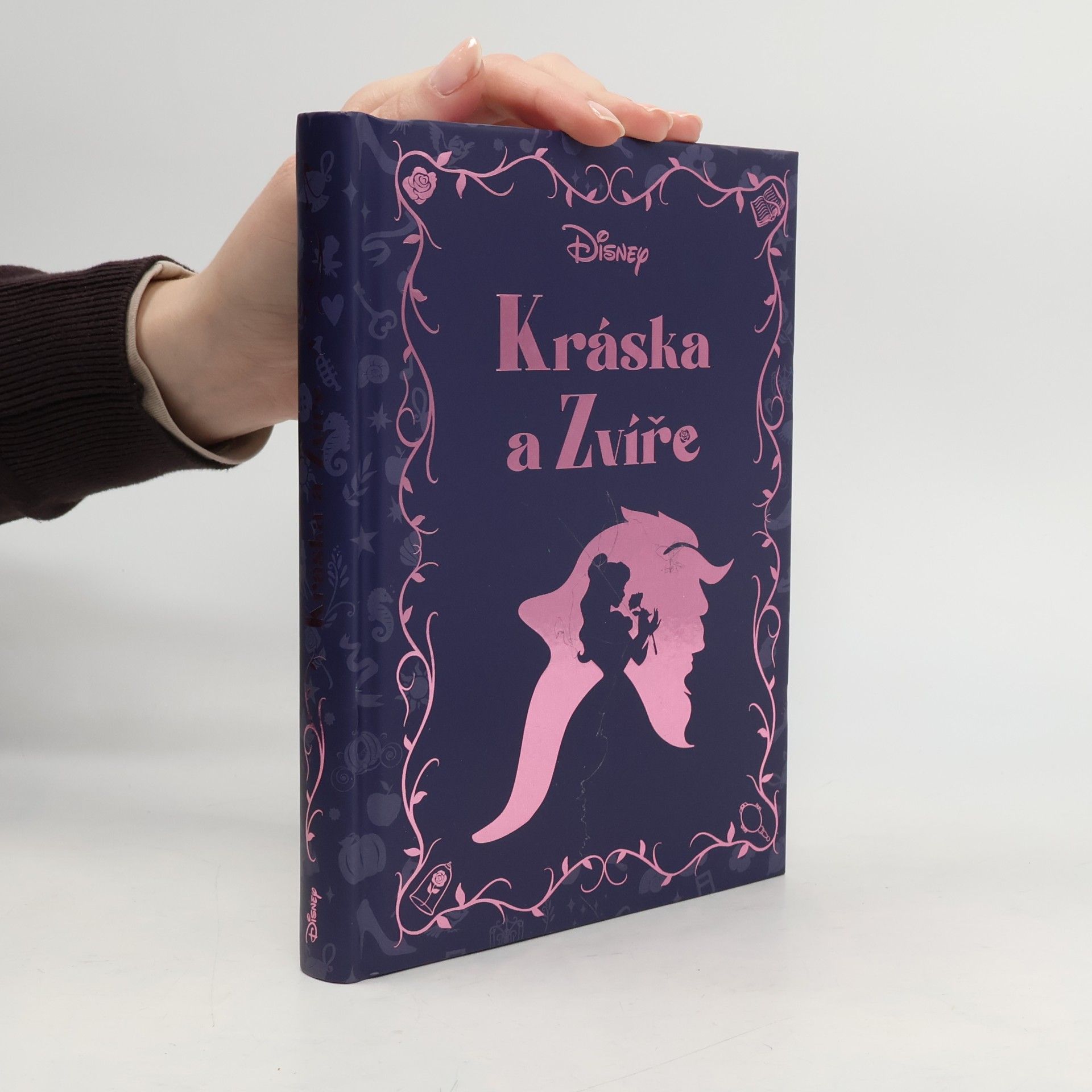 Kráska a Zvíře