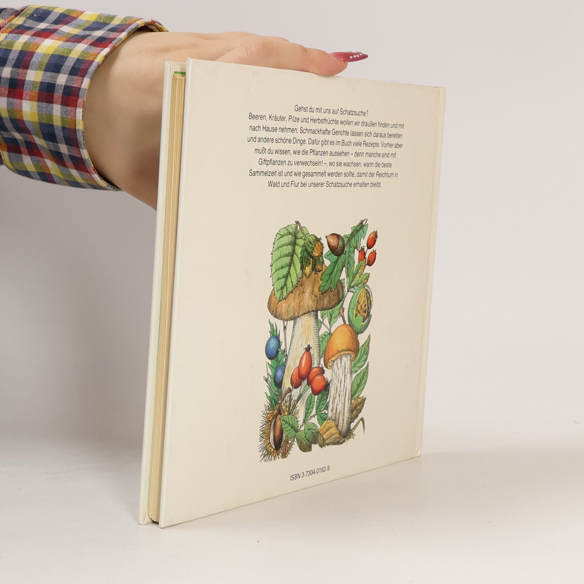 Elisabeth Manke Schätze aus Wald und Flur