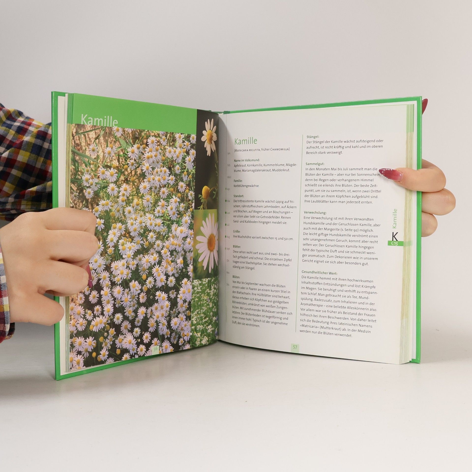 Monika Heutmann Wildkräuter sammeln, kochen, genießen