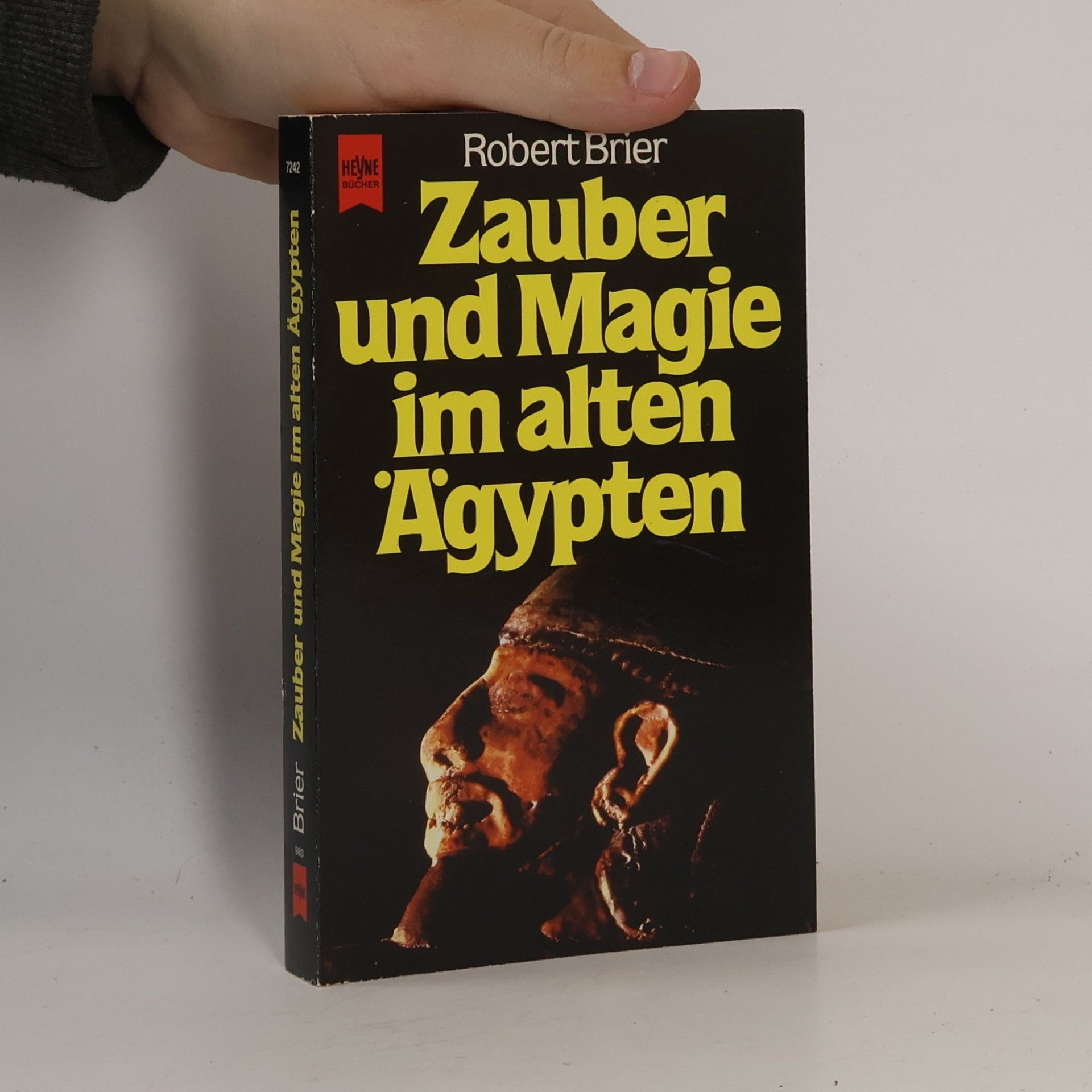 Zauber und Magie im alten Ägypten. Das geheimnisvolle Wissen und die geheimnisvollen Praktiken, die das Leben im Pharaonenreich beherrschten.