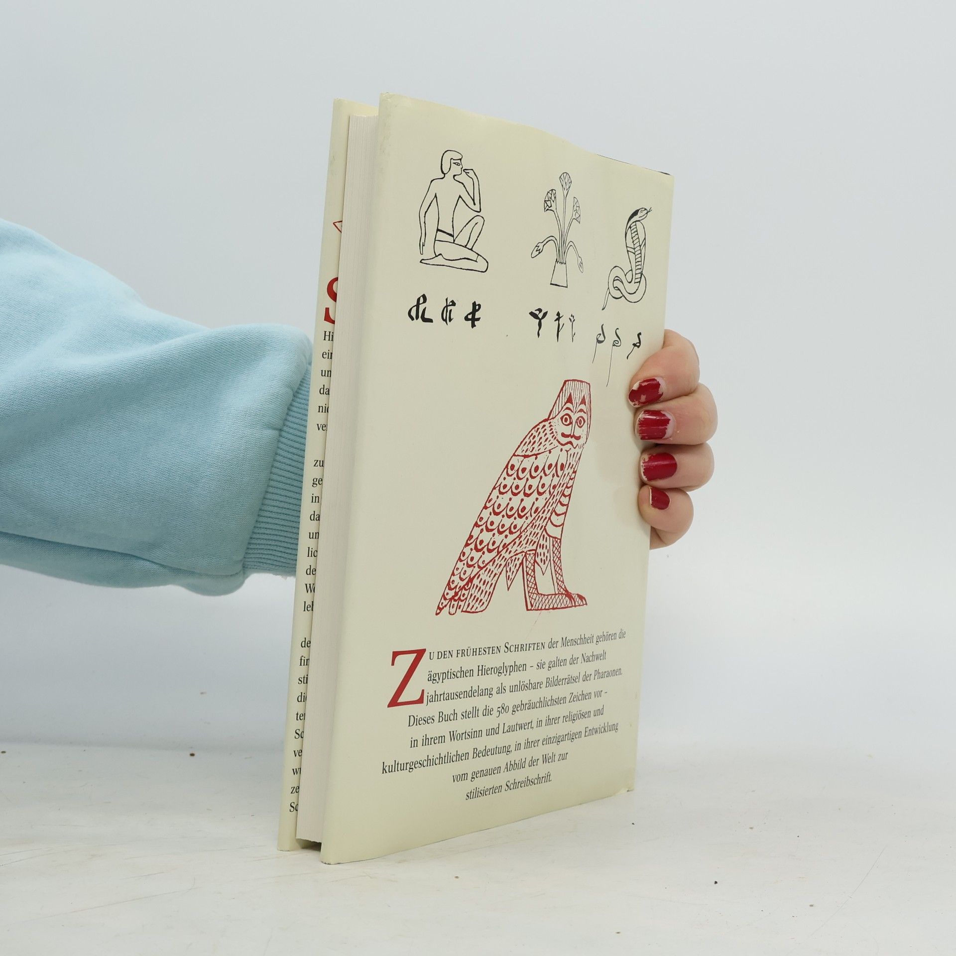Maria Carmela Betrò Heilige Zeichen. 580 ägyptische Hieroglyphen. Das Land der Pharaonen im Spiegel seiner Schrift