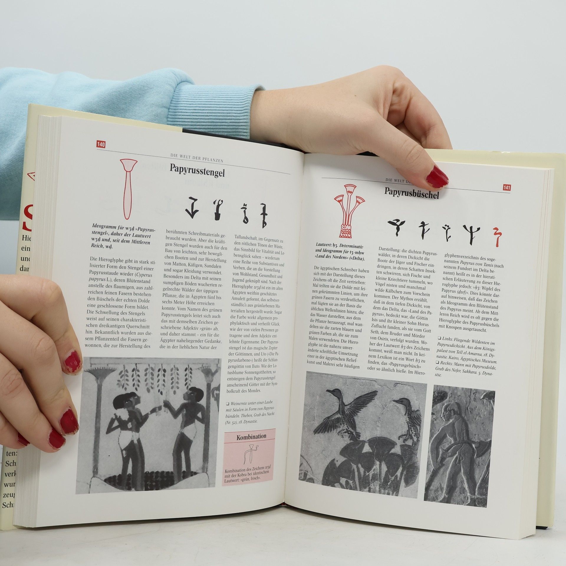 Maria Carmela Betrò Heilige Zeichen. 580 ägyptische Hieroglyphen. Das Land der Pharaonen im Spiegel seiner Schrift