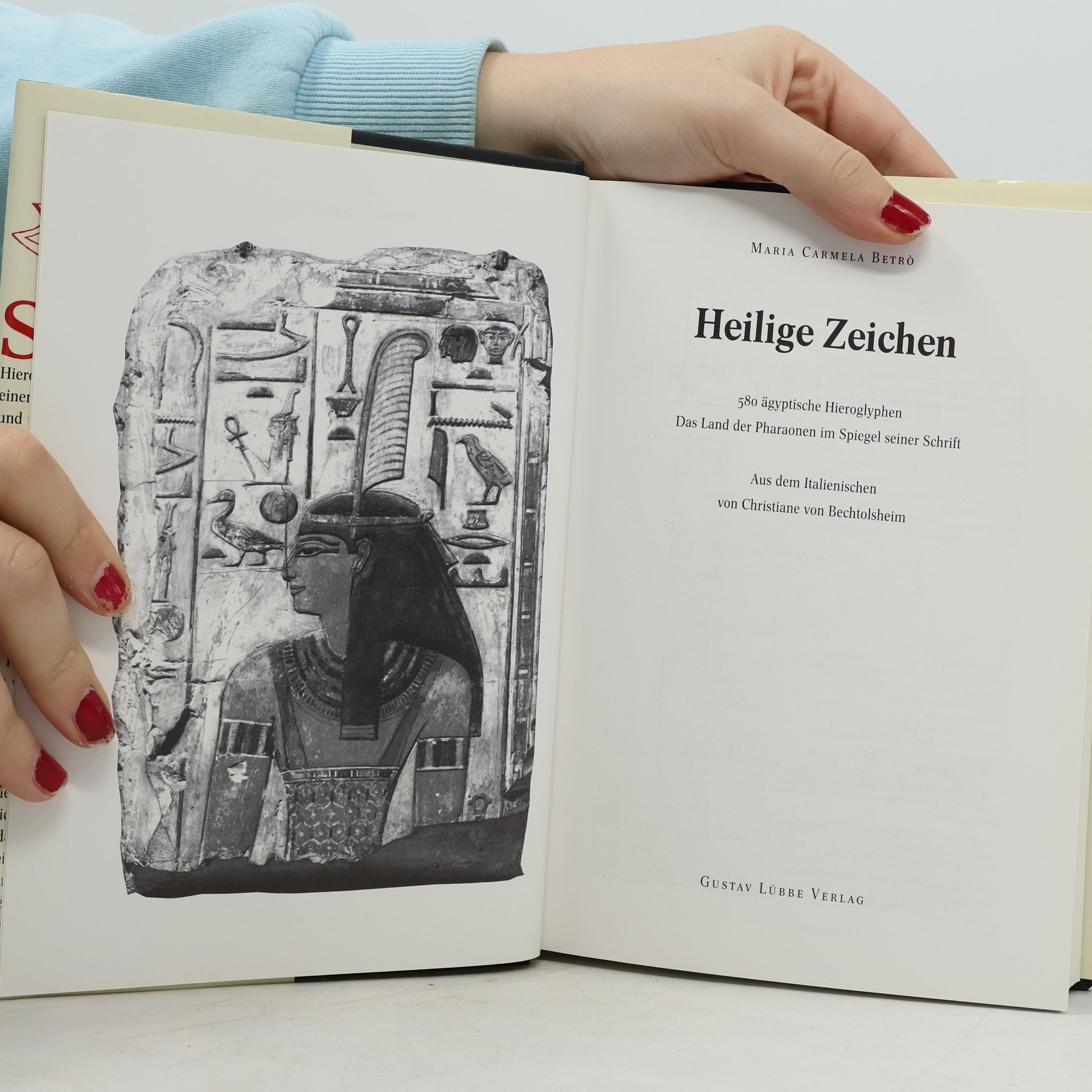 Maria Carmela Betrò Heilige Zeichen. 580 ägyptische Hieroglyphen. Das Land der Pharaonen im Spiegel seiner Schrift