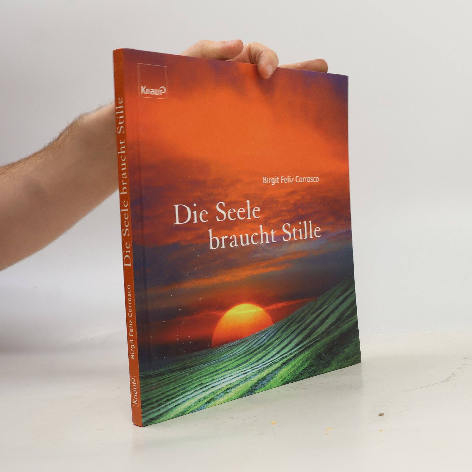 Die Seele braucht Stille