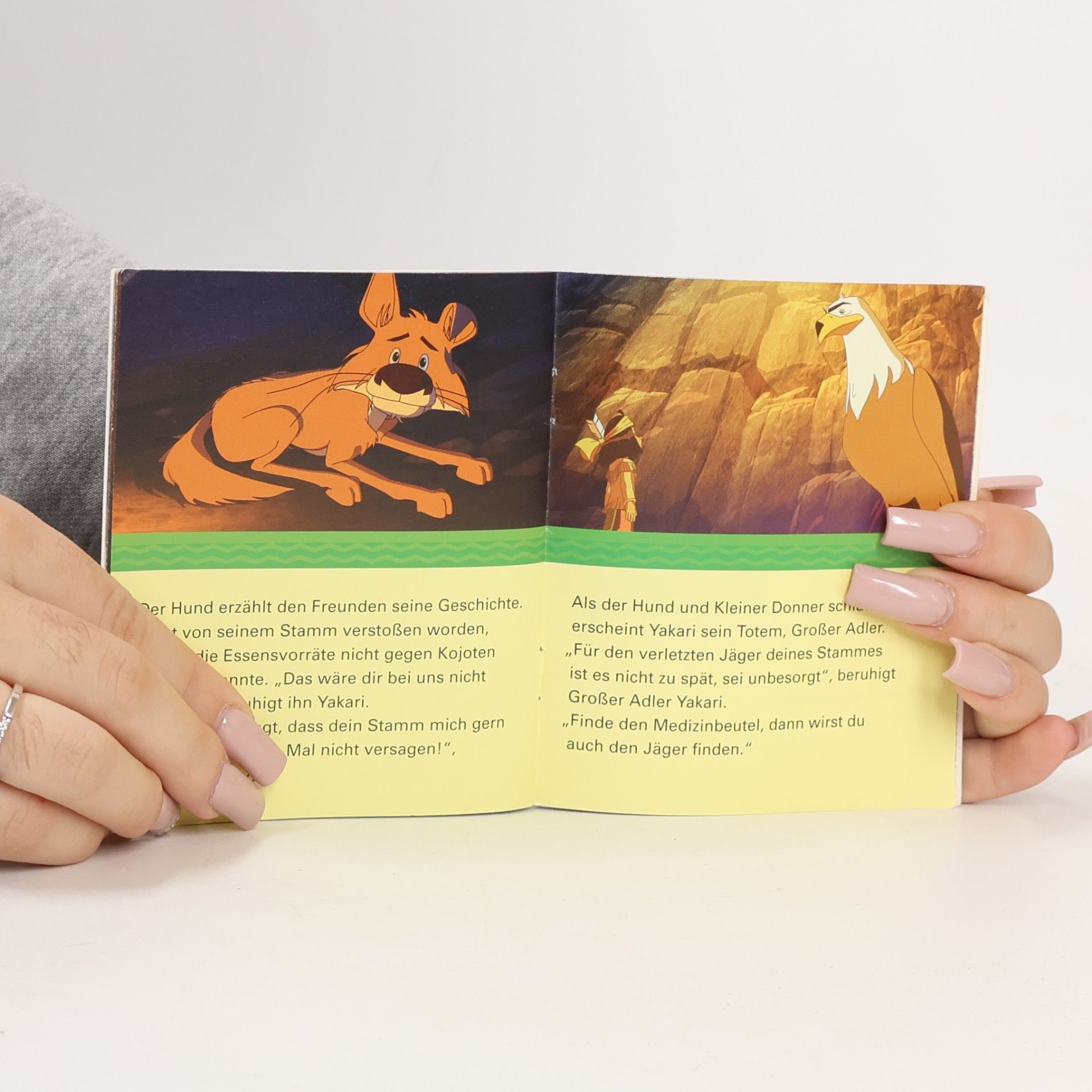 Kolektiv autorů Yakari und Silberfell