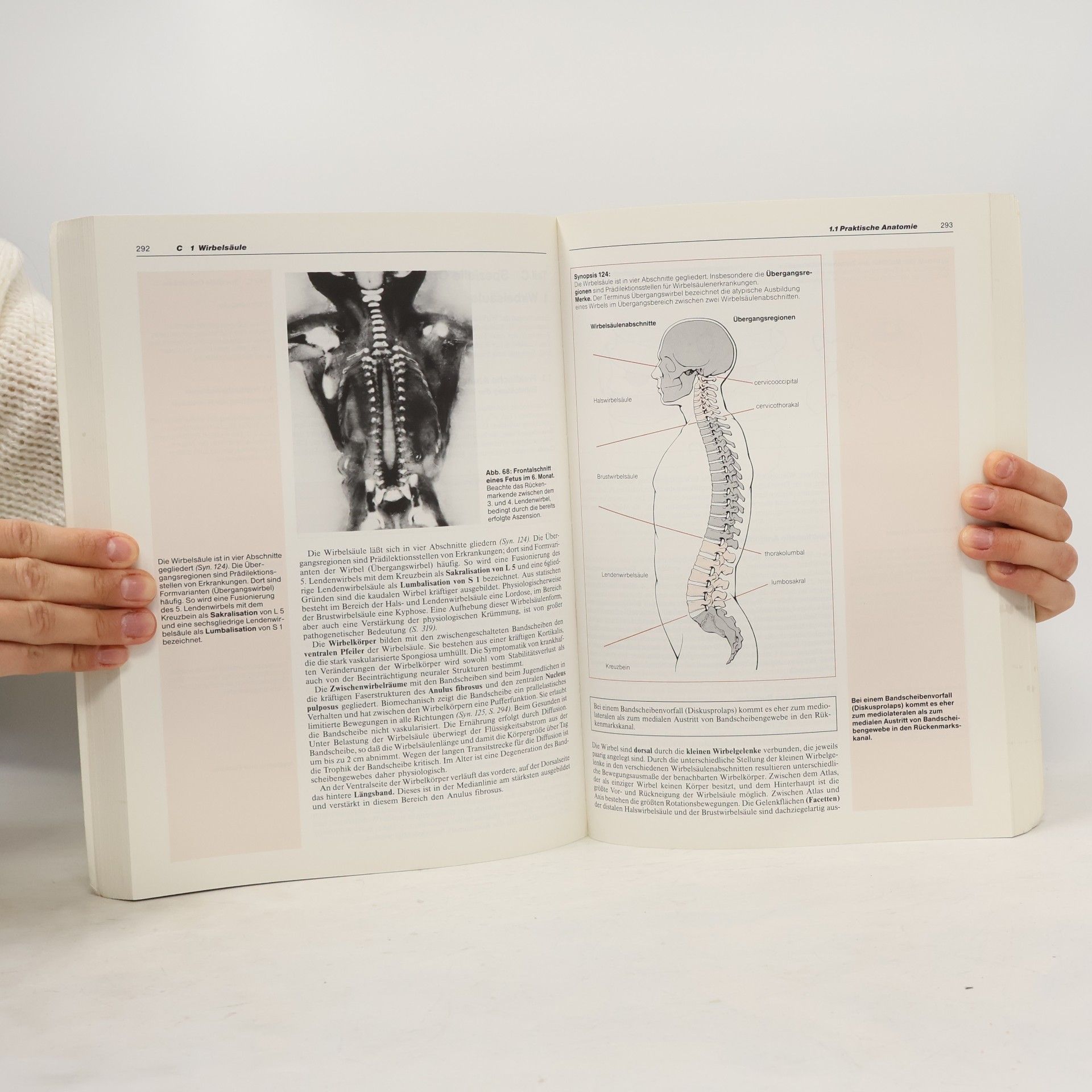 Fritz Uwe Niethard Orthopädie