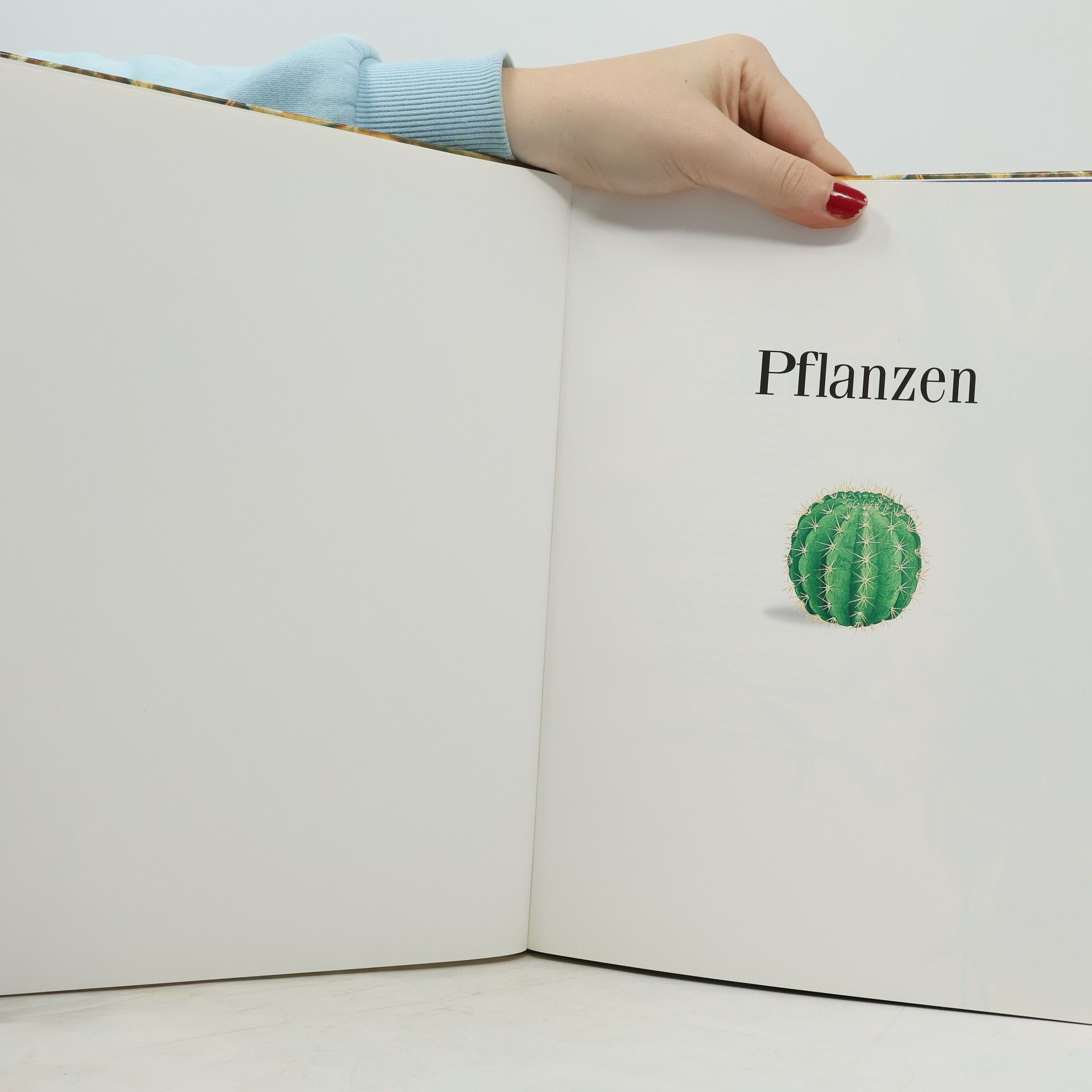 Hans Peter Thiel Pflanzen