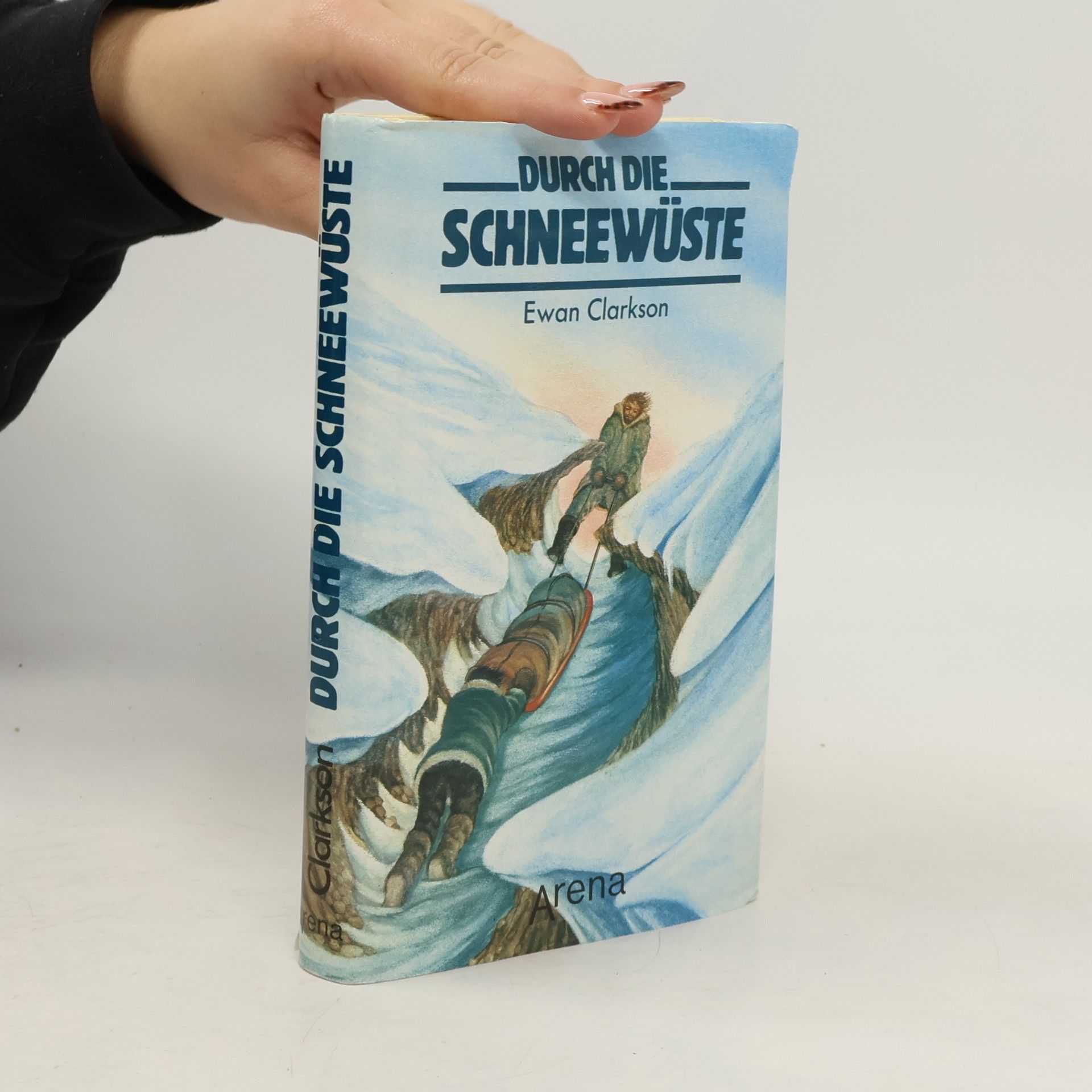 Durch die Schneewüste