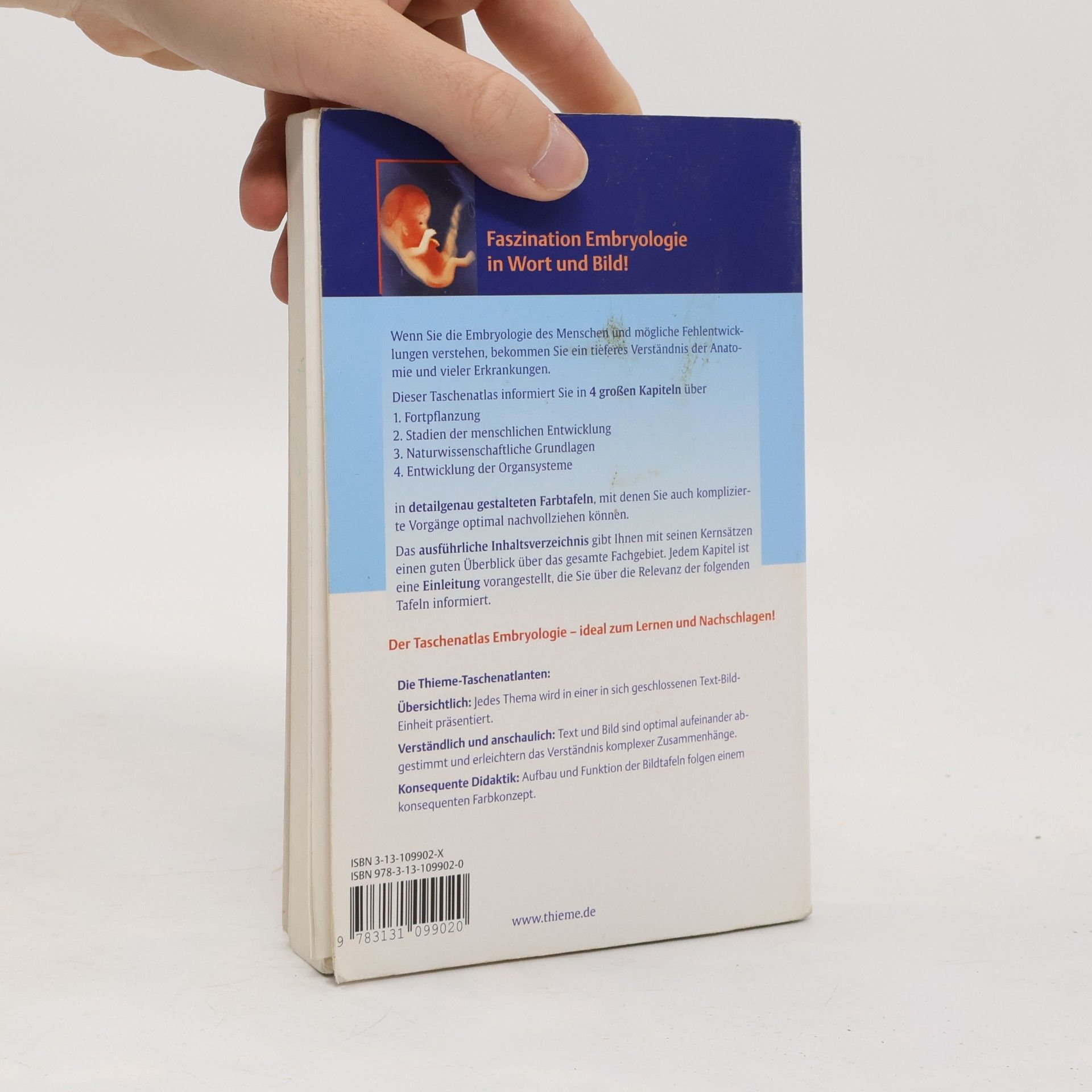Rüdiger Gay Taschenatlas der Embryologie - 2., unveränderte Auflage