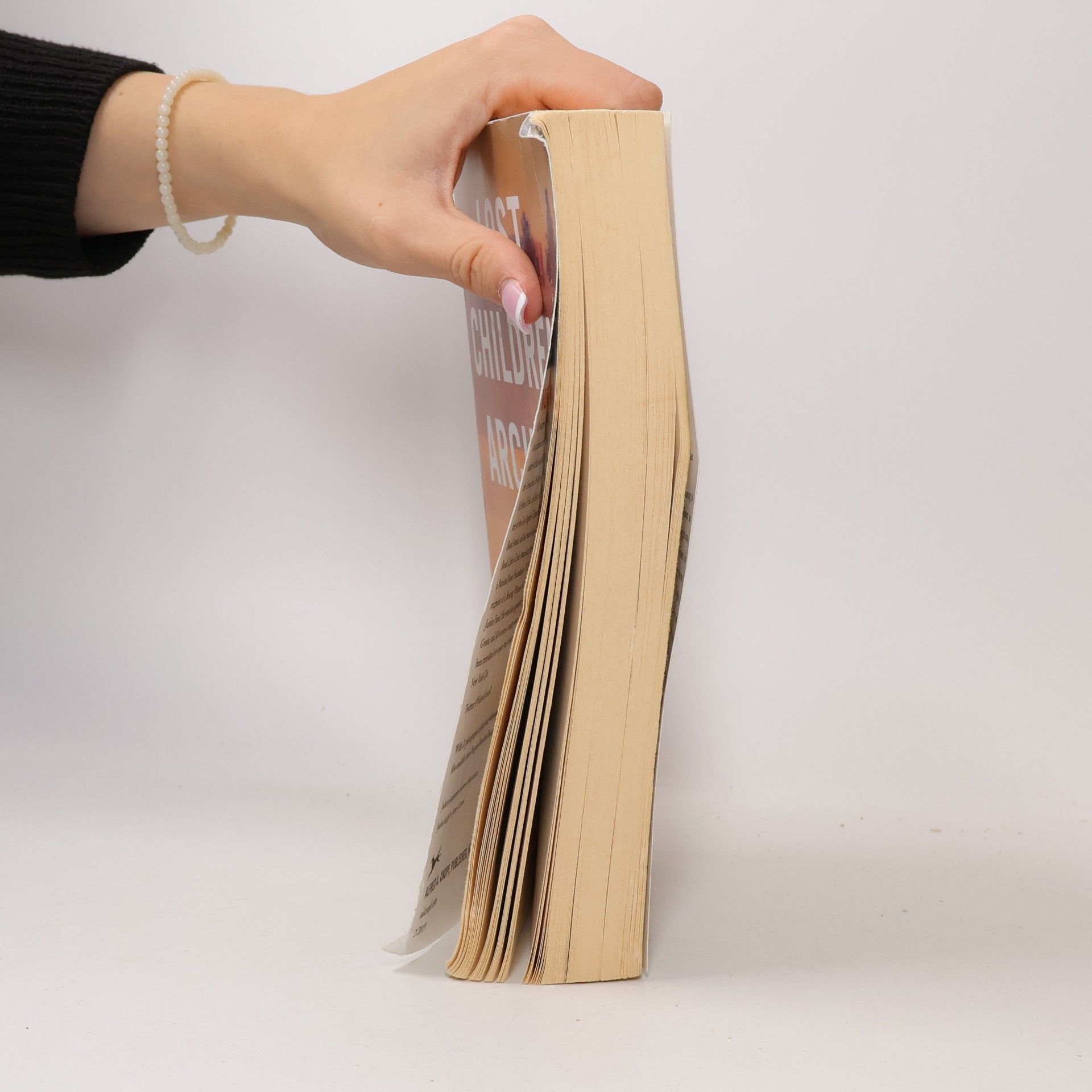 Luiselli Valeria Lost Children Archive