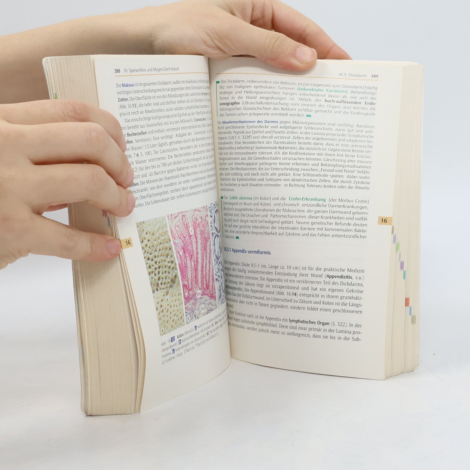 Renate Lüllmann-Rauch Taschenlehrbuch Histologie