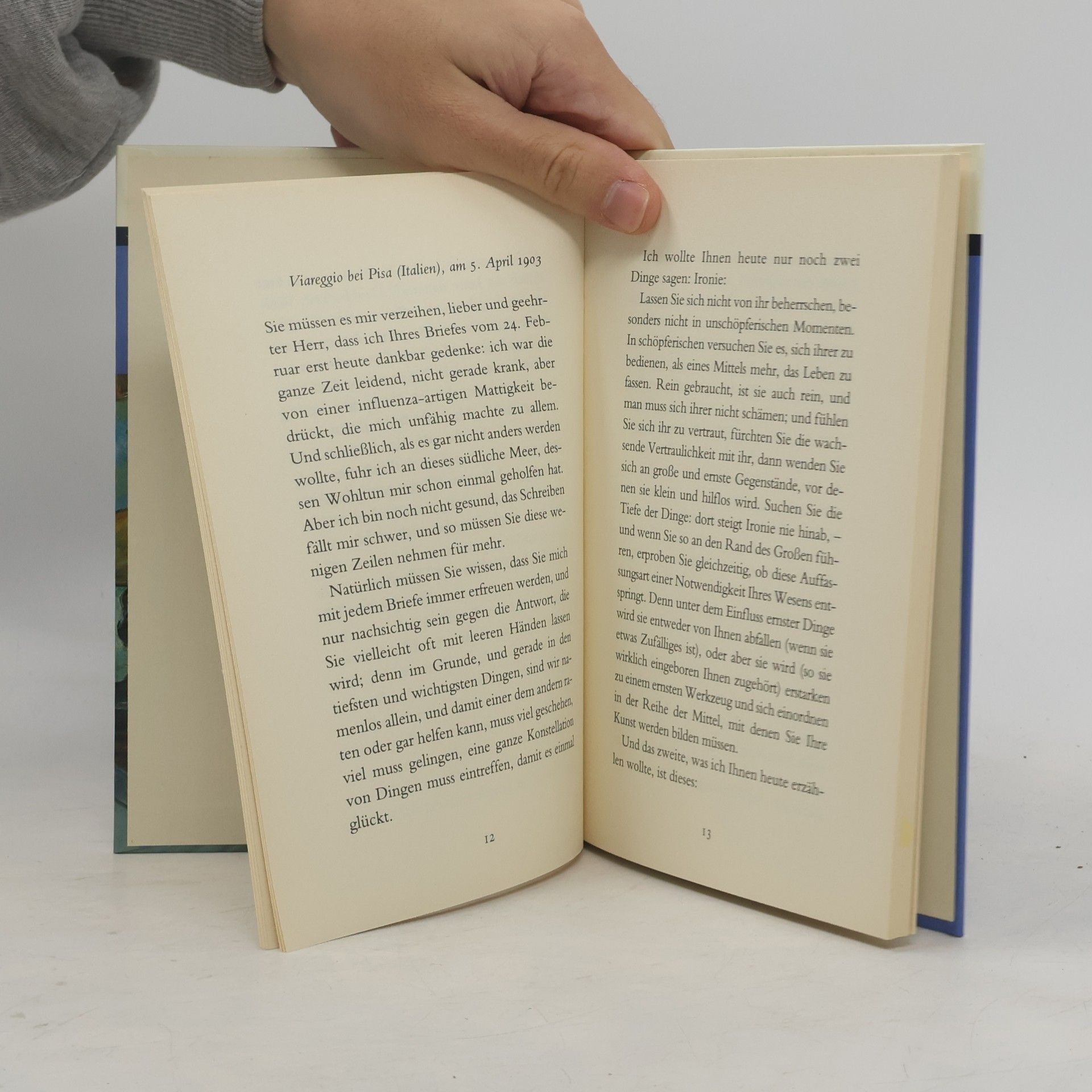 Rainer Maria Rilke Briefe an einen jungen Dichter