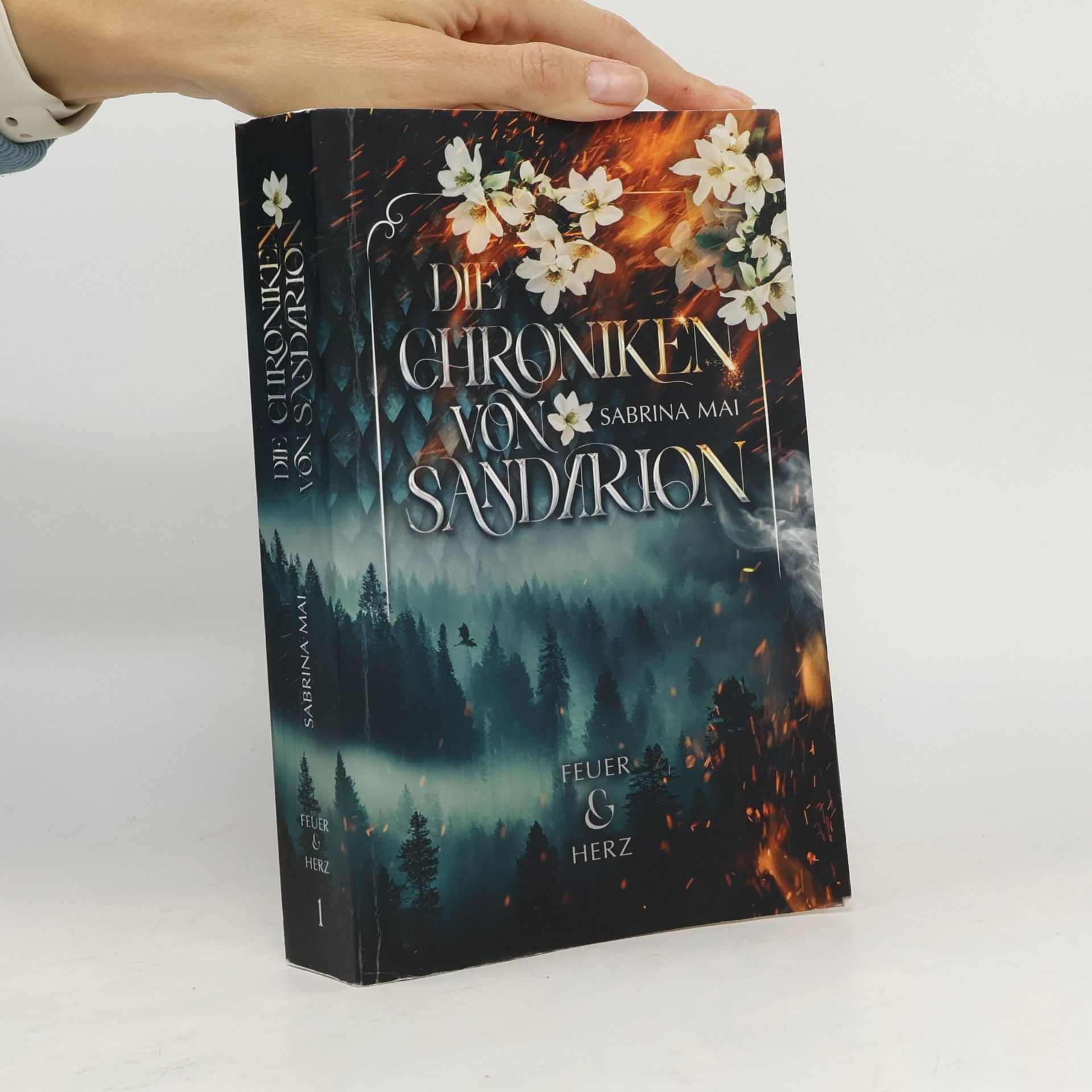 Die Chroniken von Sandarion. Feuer & Herz