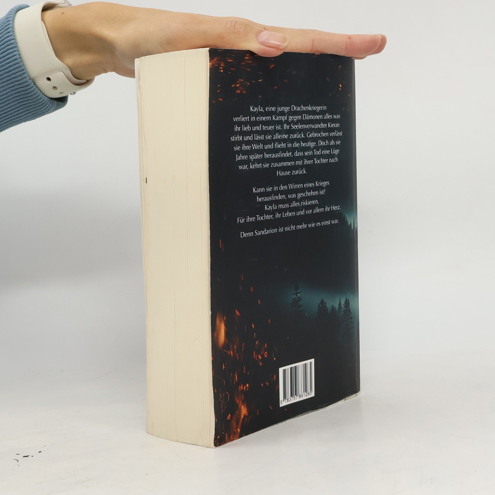 Sabrina Mai Die Chroniken von Sandarion. Feuer & Herz