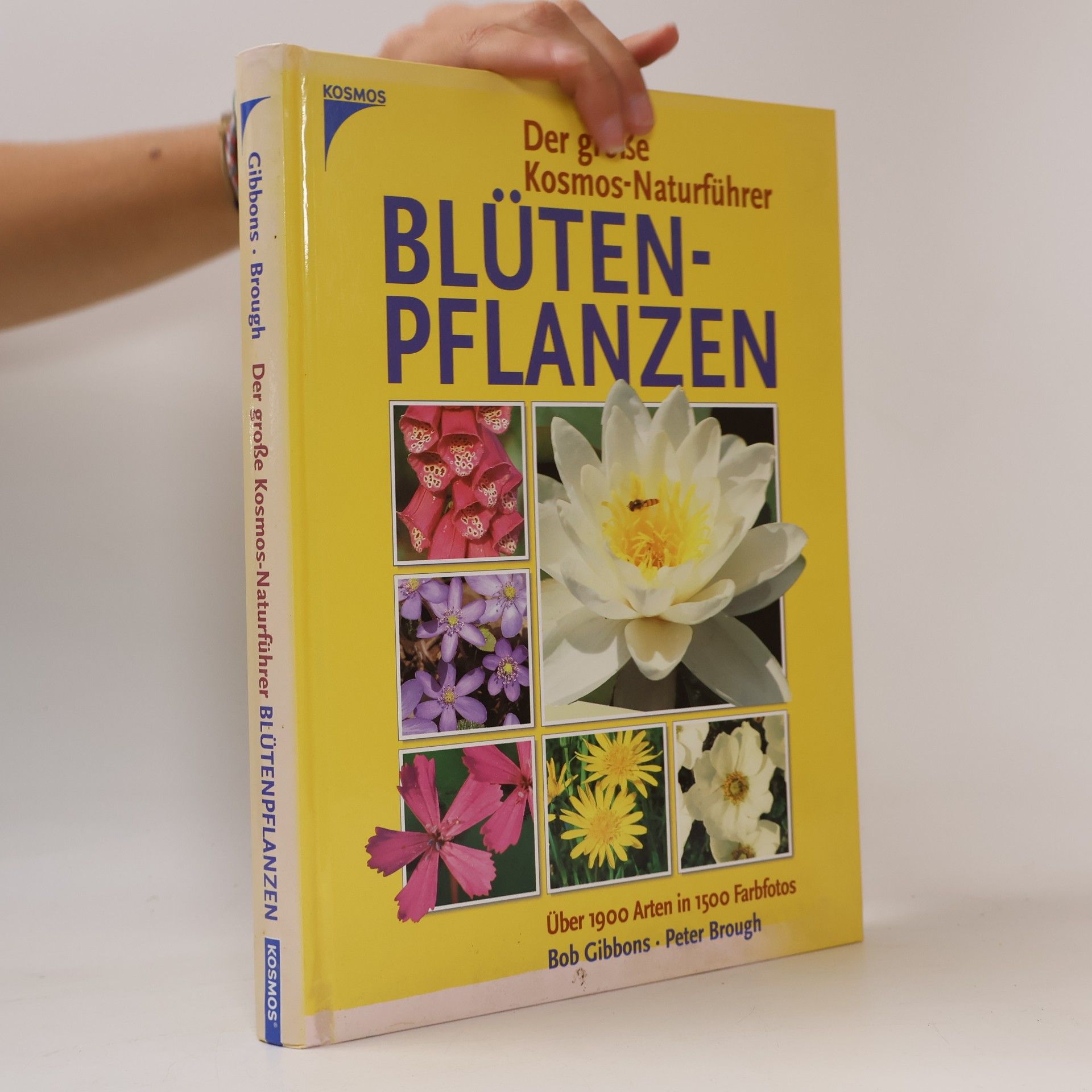 Der große Kosmos-Naturführer: Blütenpflanzen