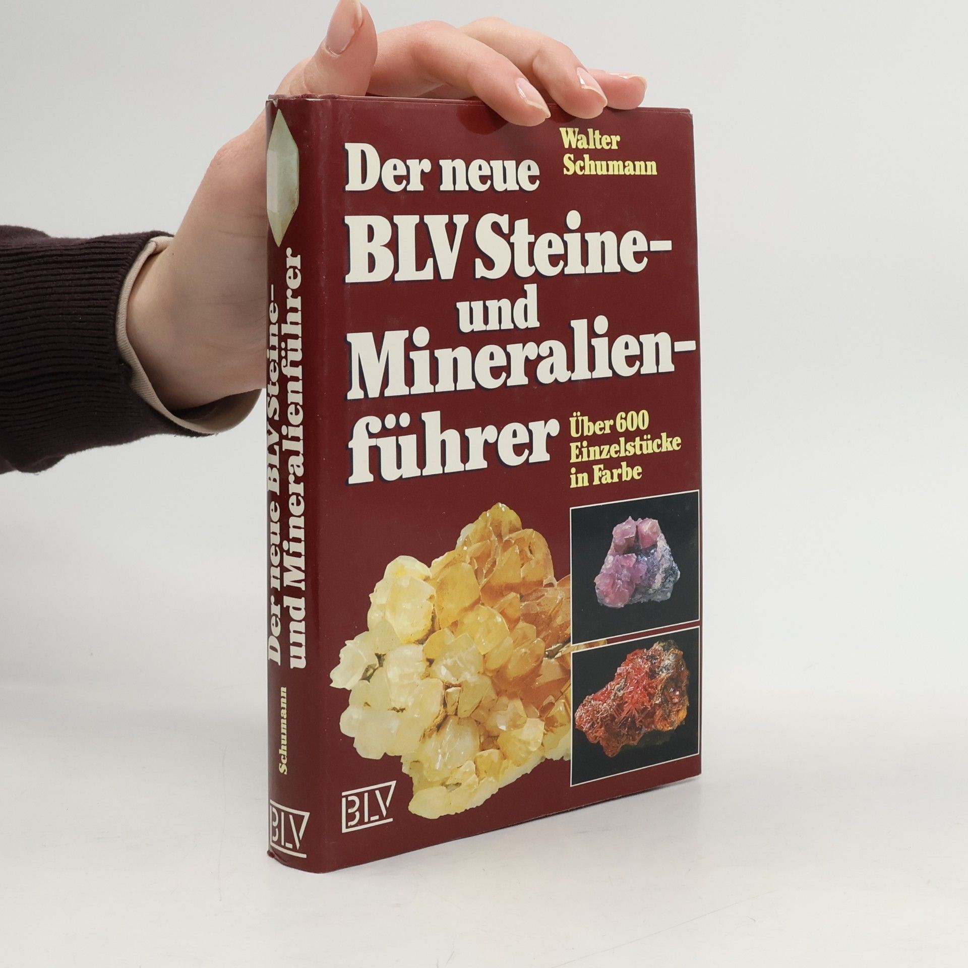 Der neue BLV-Steine- und Mineralienführer