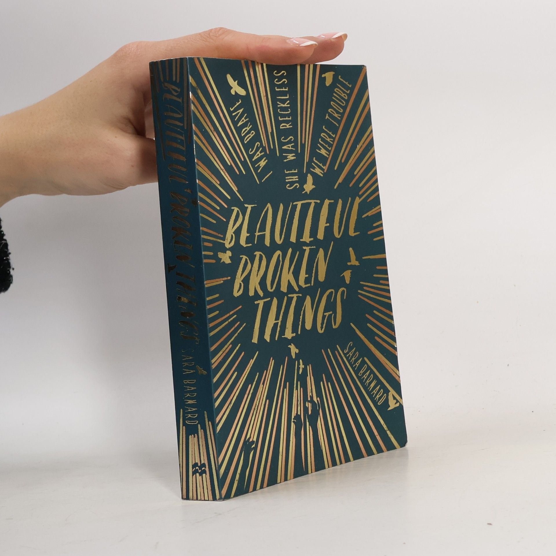 Beautiful broken things