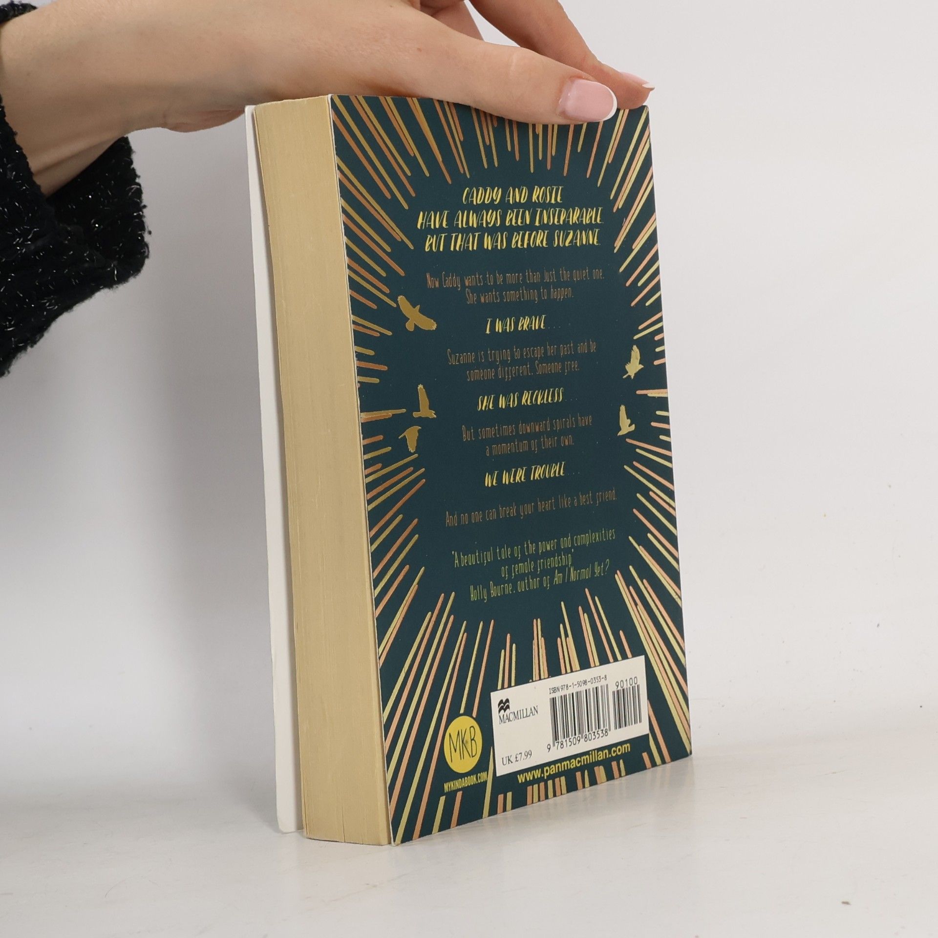 Sara Barnard Beautiful broken things