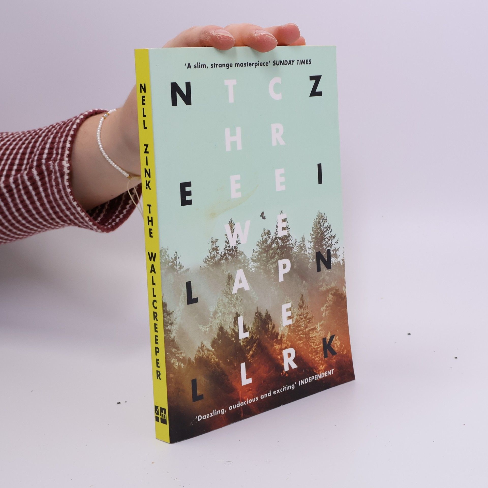 Nell Zink The Wallcreeper