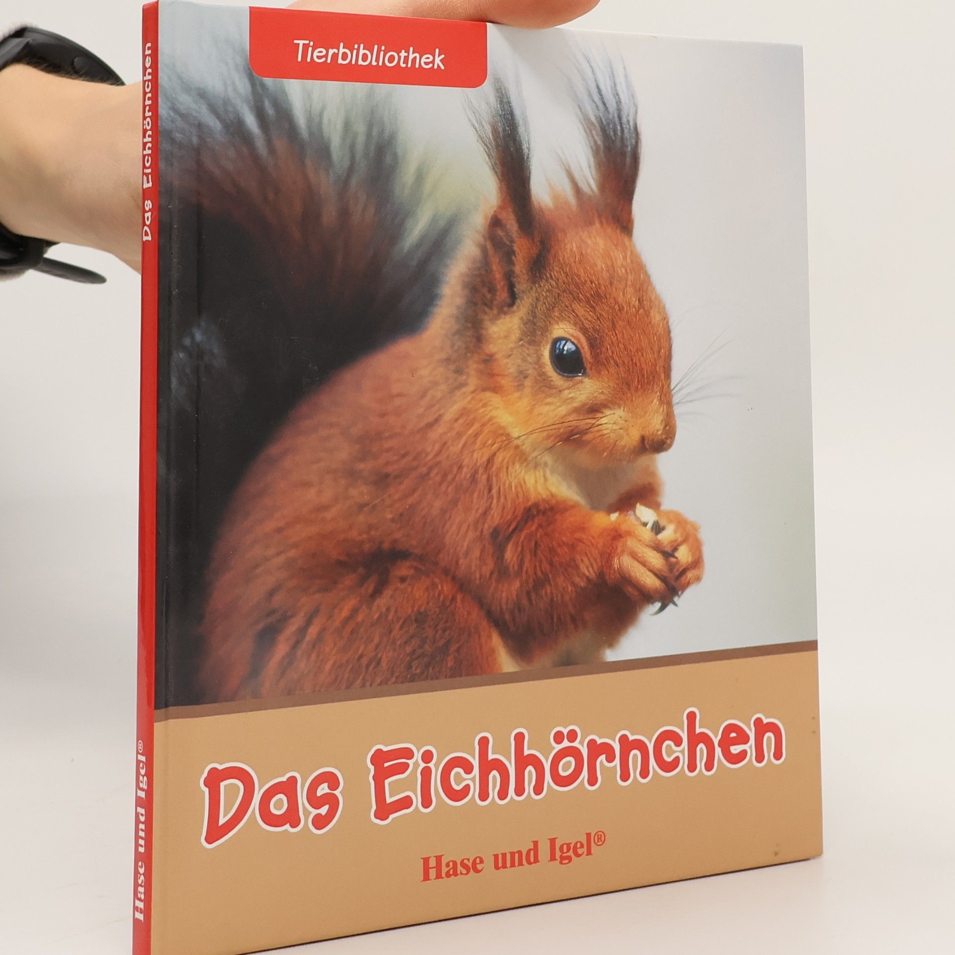 Das Eichhörnchen