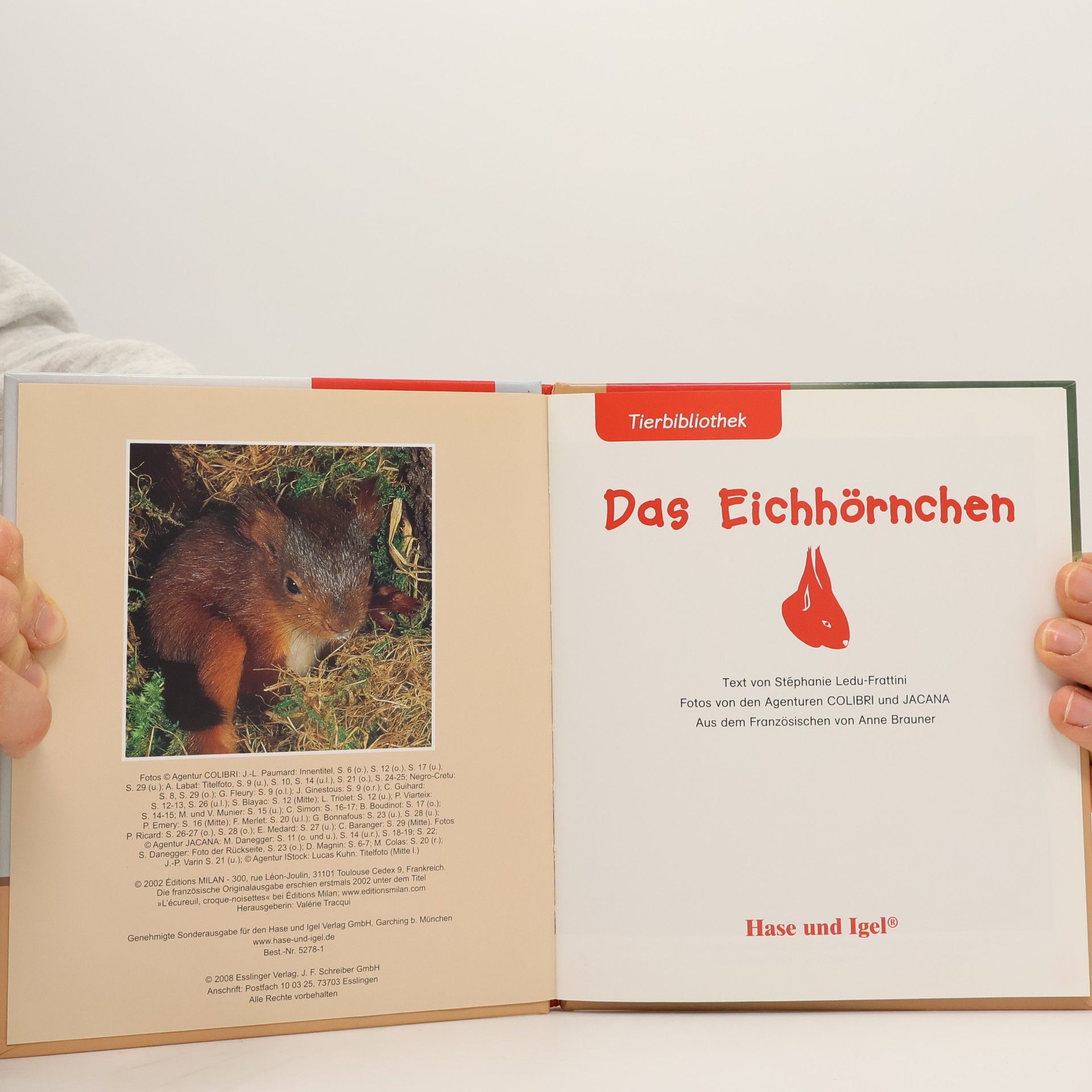 Stéphanie Ledu-Frattini Das Eichhörnchen