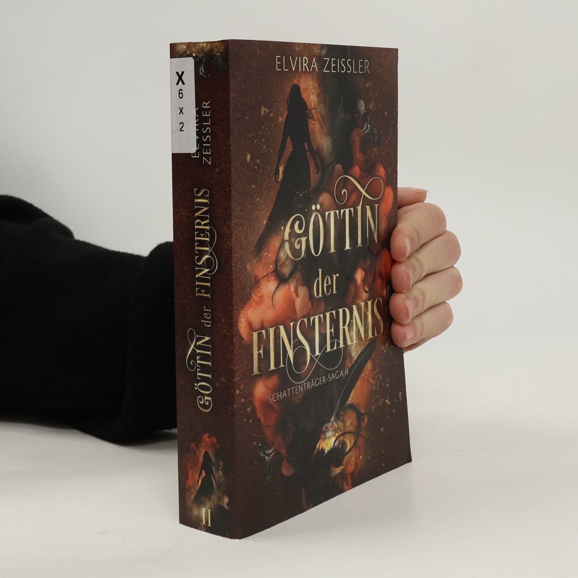 Schattenträger-Saga - 2: Göttin der Finsternis