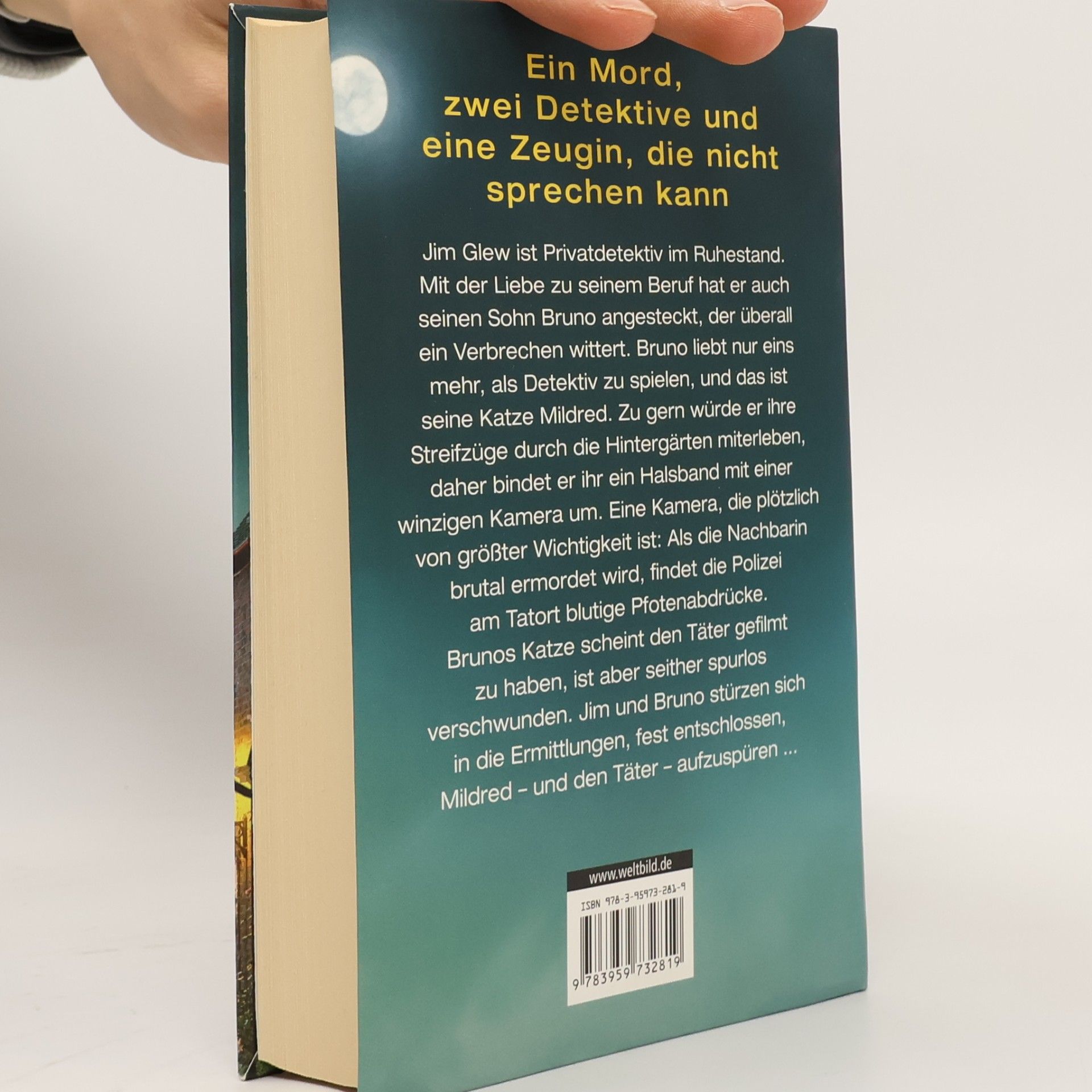 Sam Gasson Gone cat - die stumme Zeugin
