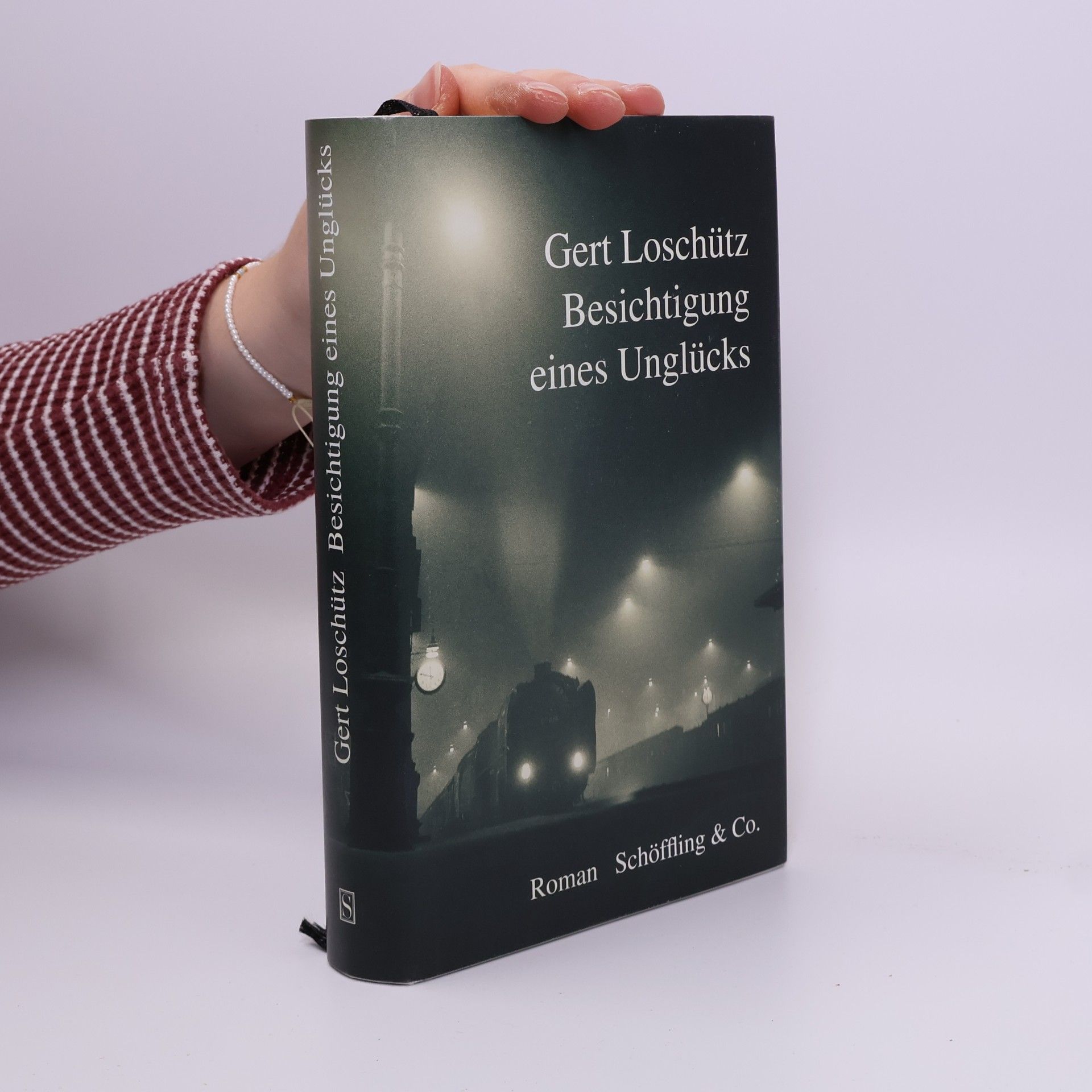 Gert Loschütz Besichtigung eines Unglücks