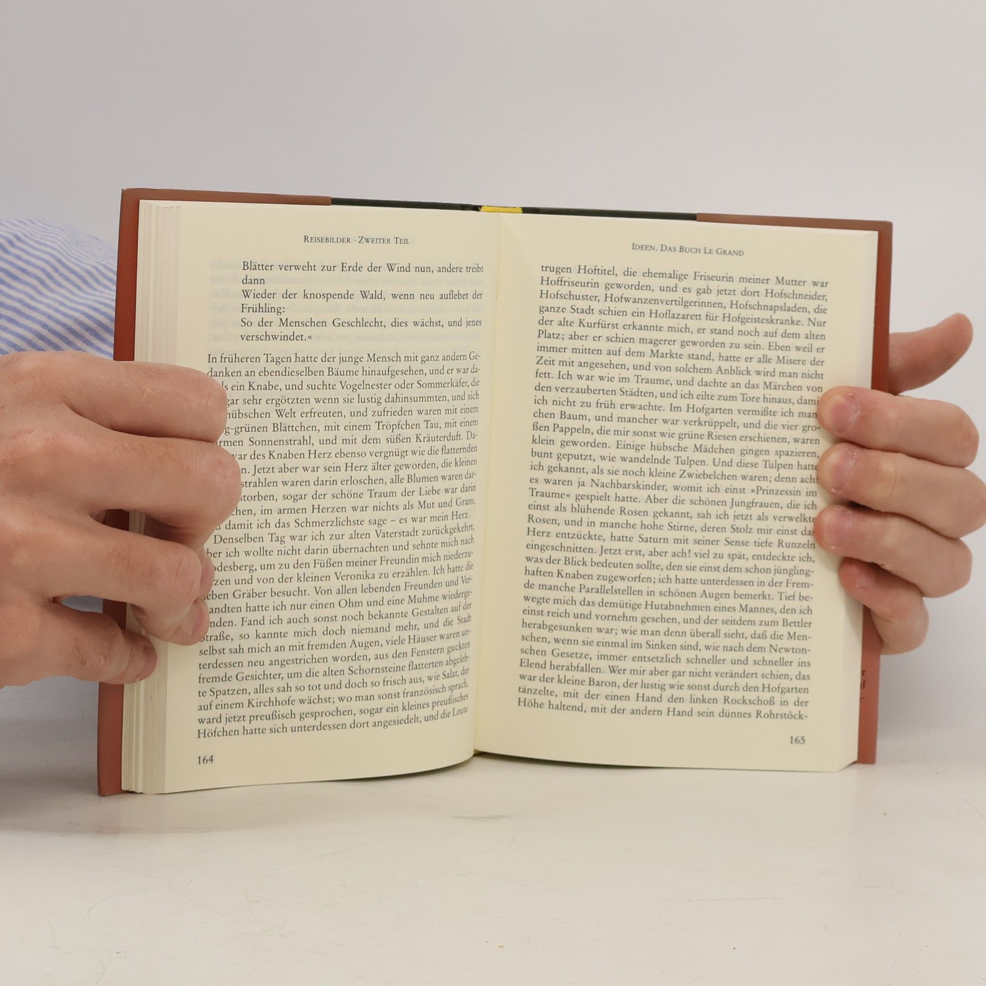 Heinrich Heine Werke in fünf Bänden. Bd. 2, Die Harzreise und andere Reisebilder