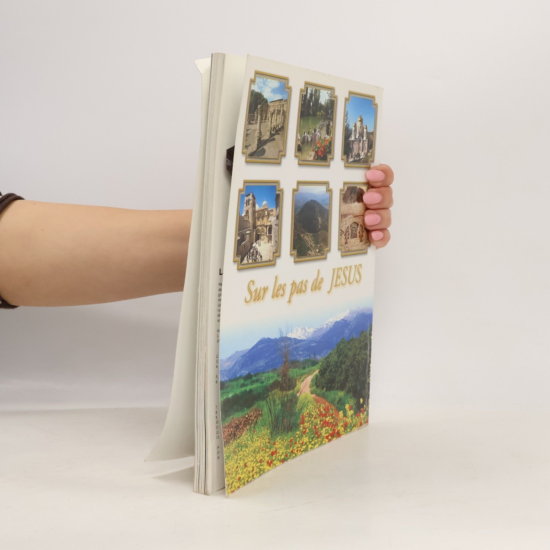 Various authors La Terre Sainte