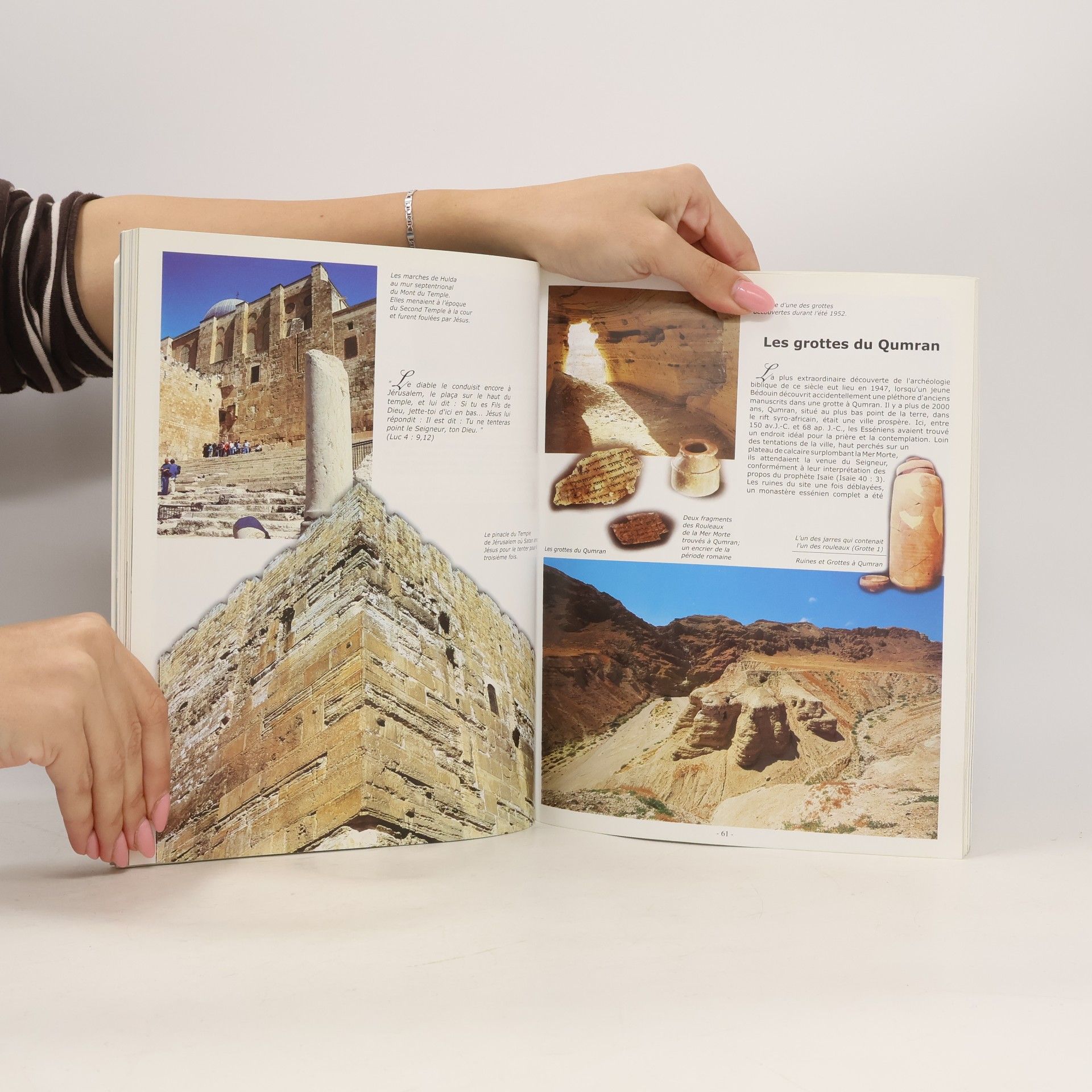 Various authors La Terre Sainte