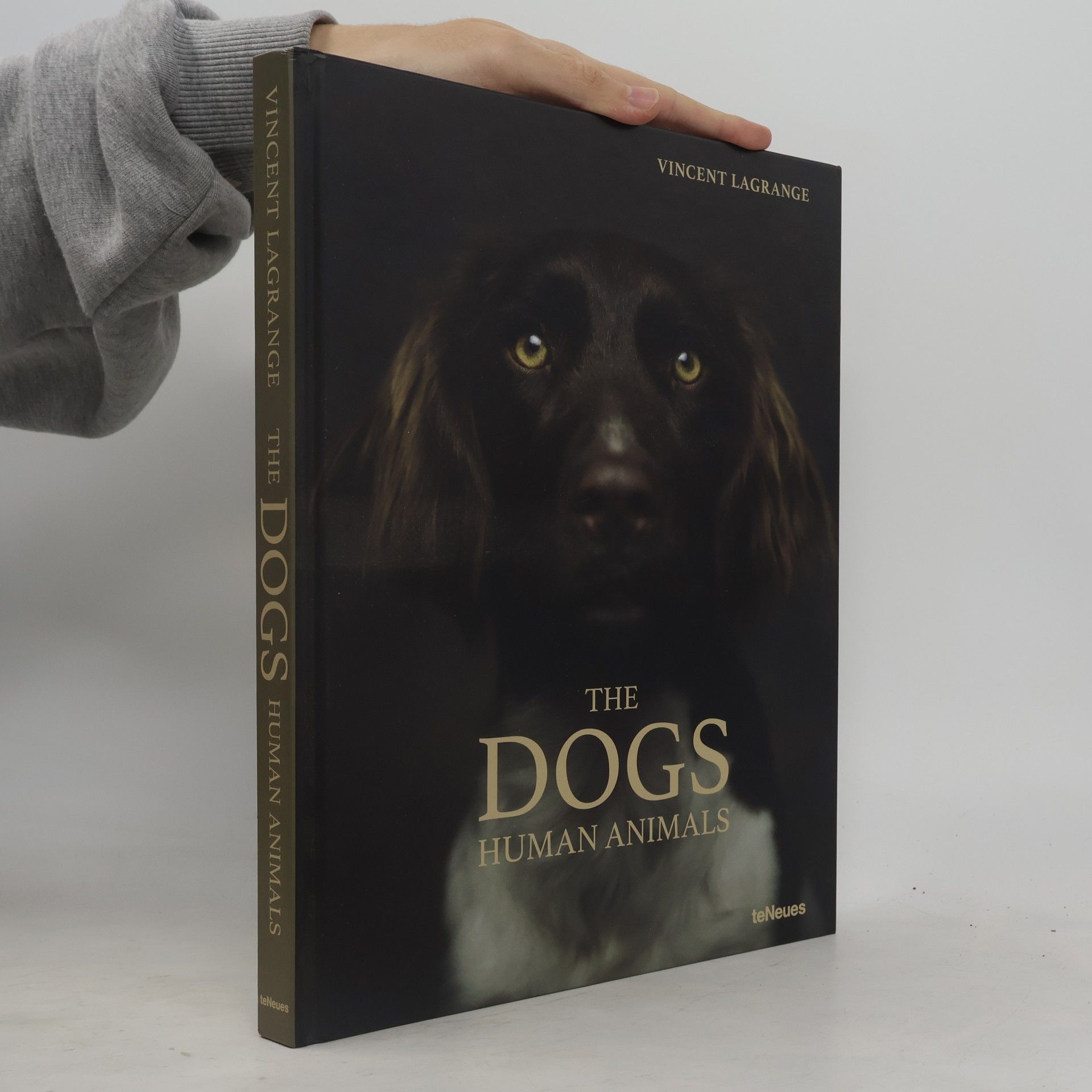 The dogs: Human animals