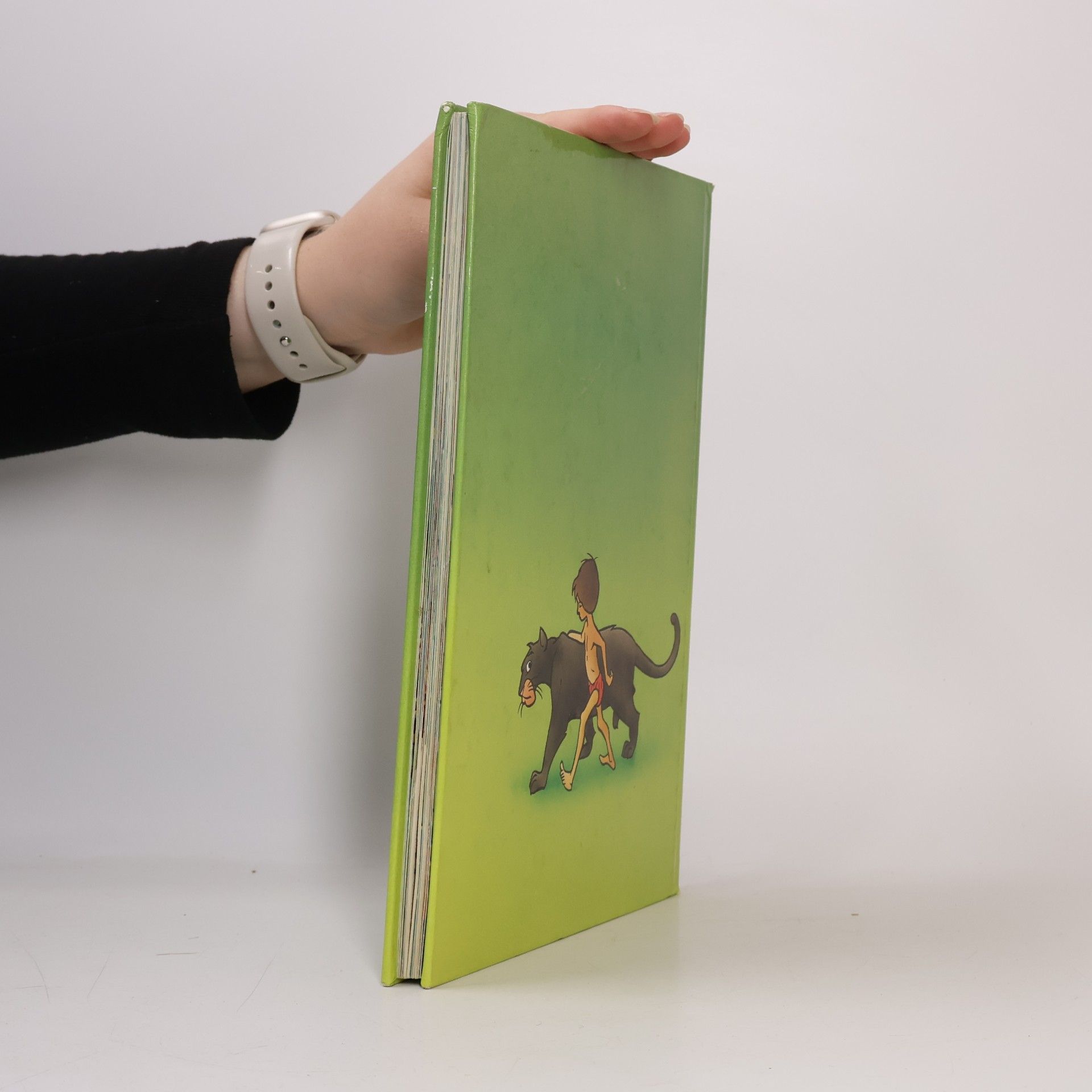 Walt Disney Das Dschungelbuch