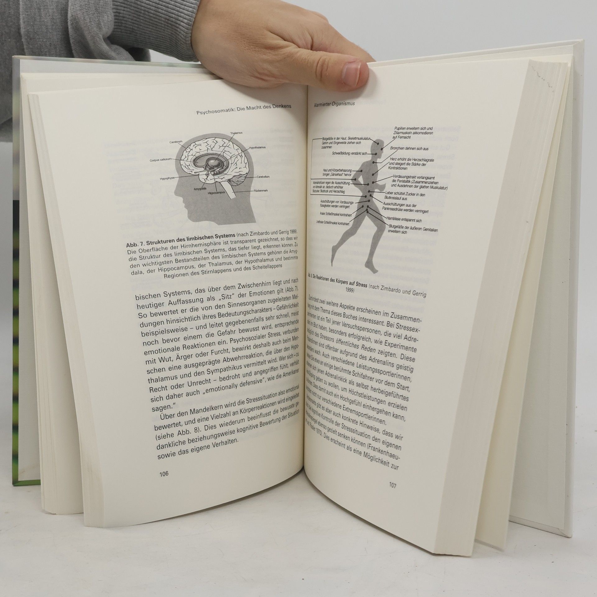Christian Fazekas Psychosomatische Intelligenz