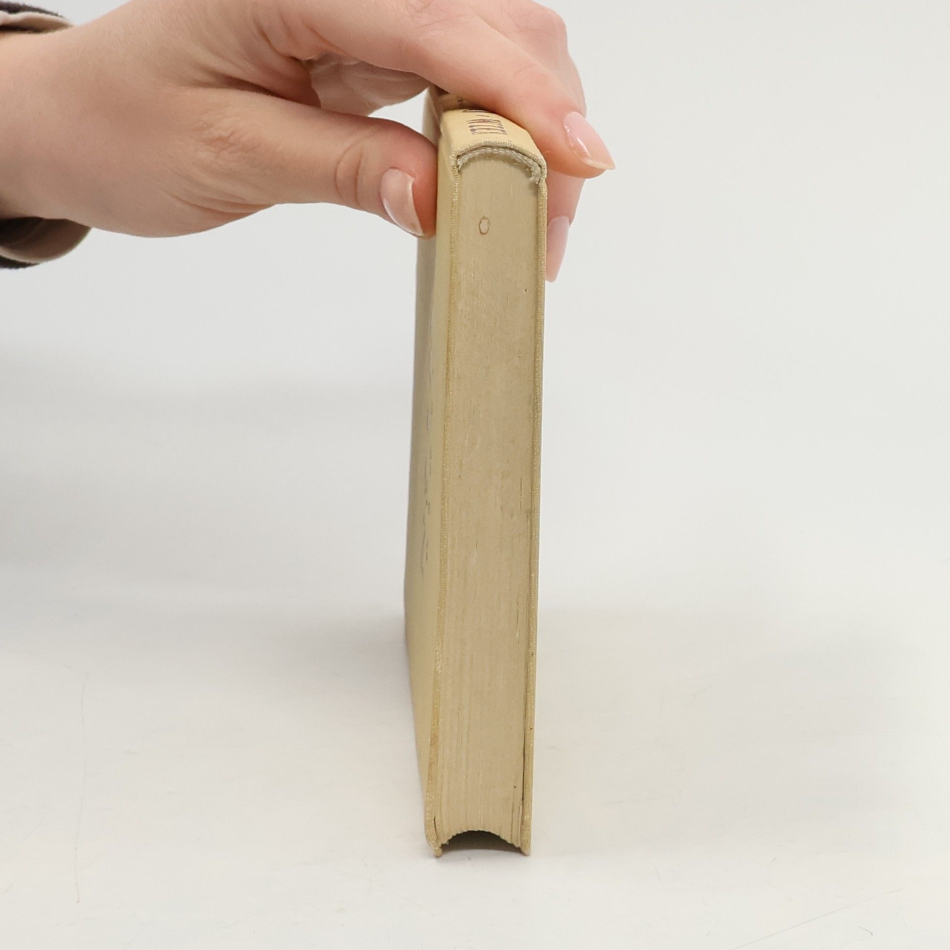 Justus Schmidt Dehio-Handbuch. Wien