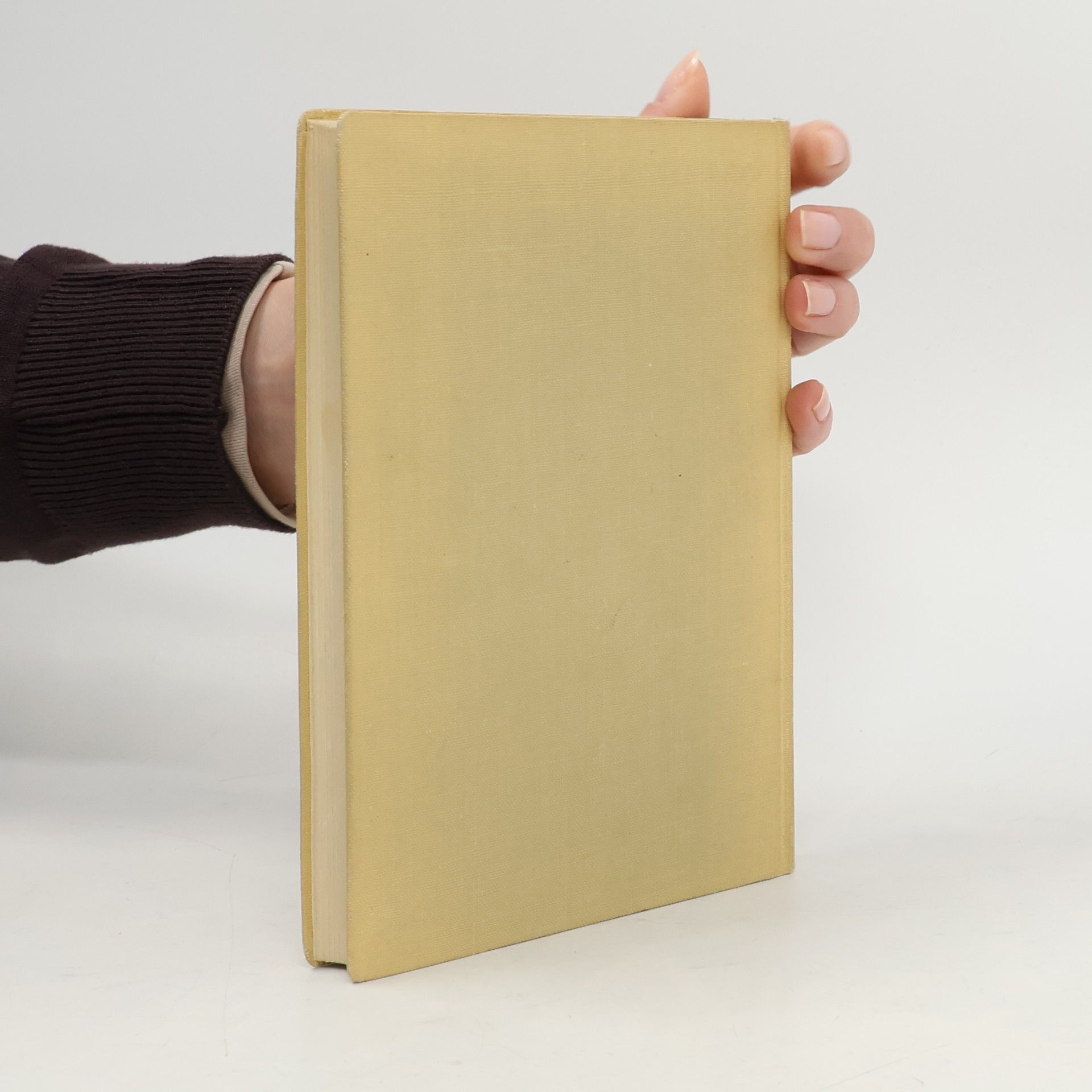 Justus Schmidt Dehio-Handbuch. Wien