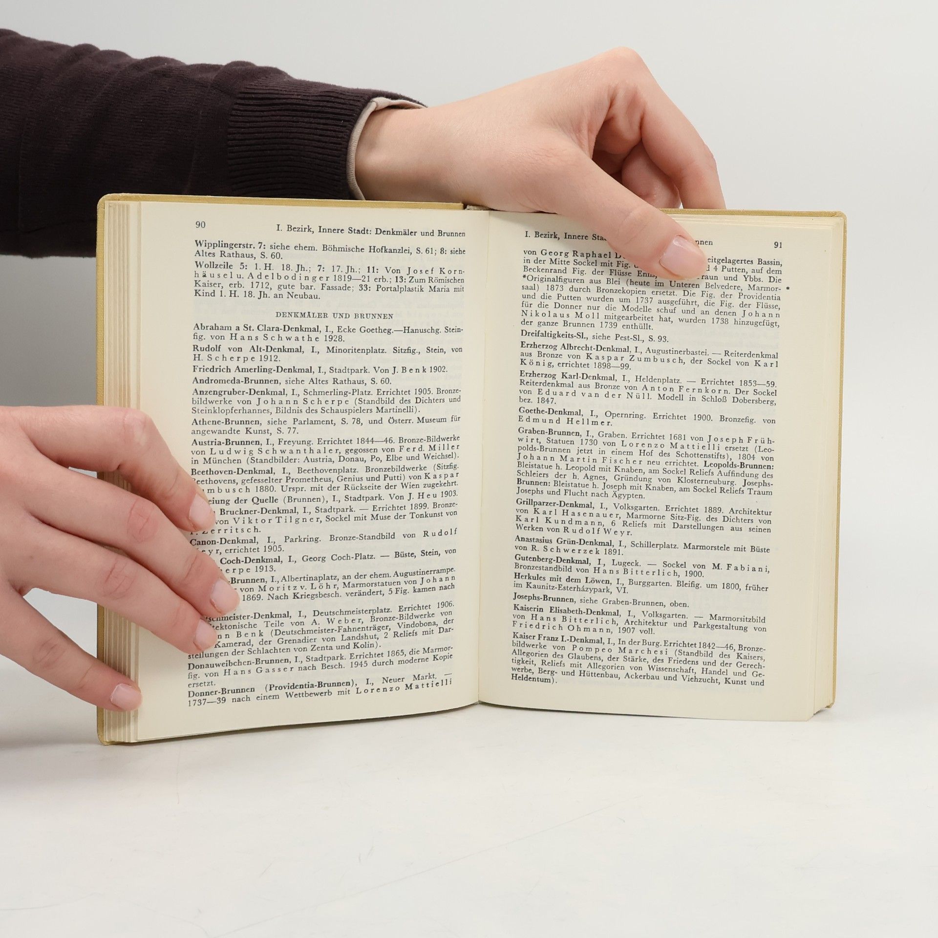 Justus Schmidt Dehio-Handbuch. Wien