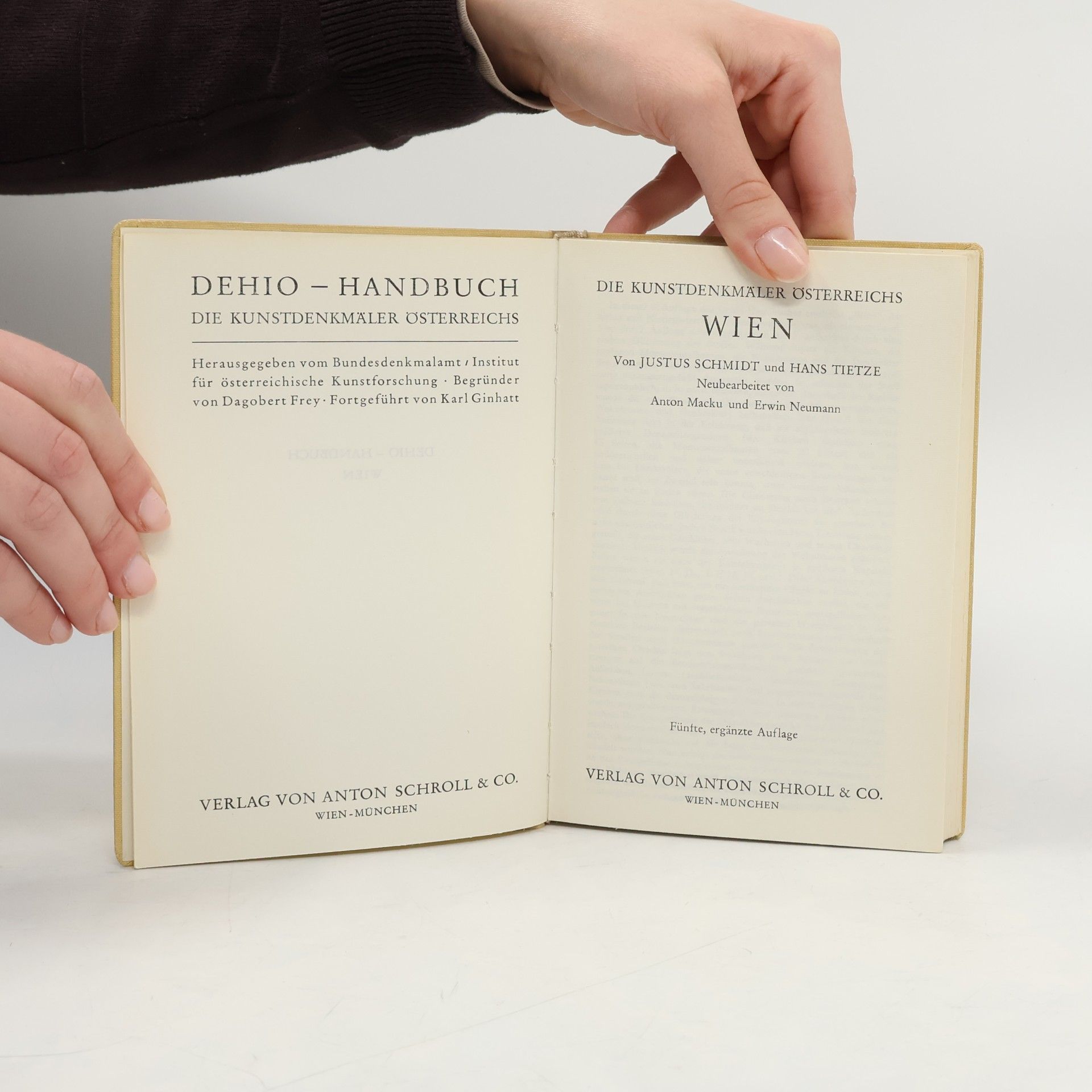 Justus Schmidt Dehio-Handbuch. Wien