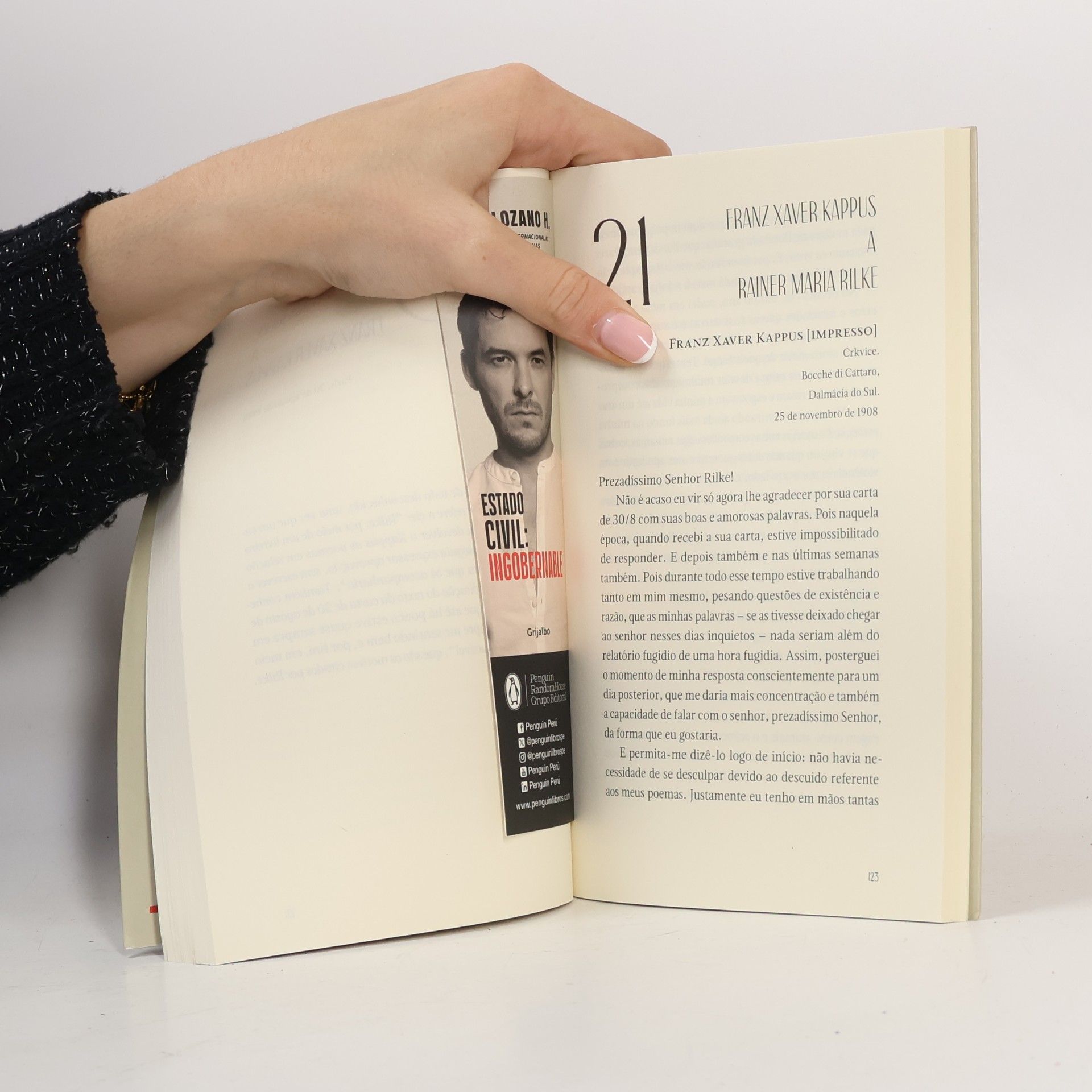 Rainer Maria Rilke Cartas a um jovem poeta