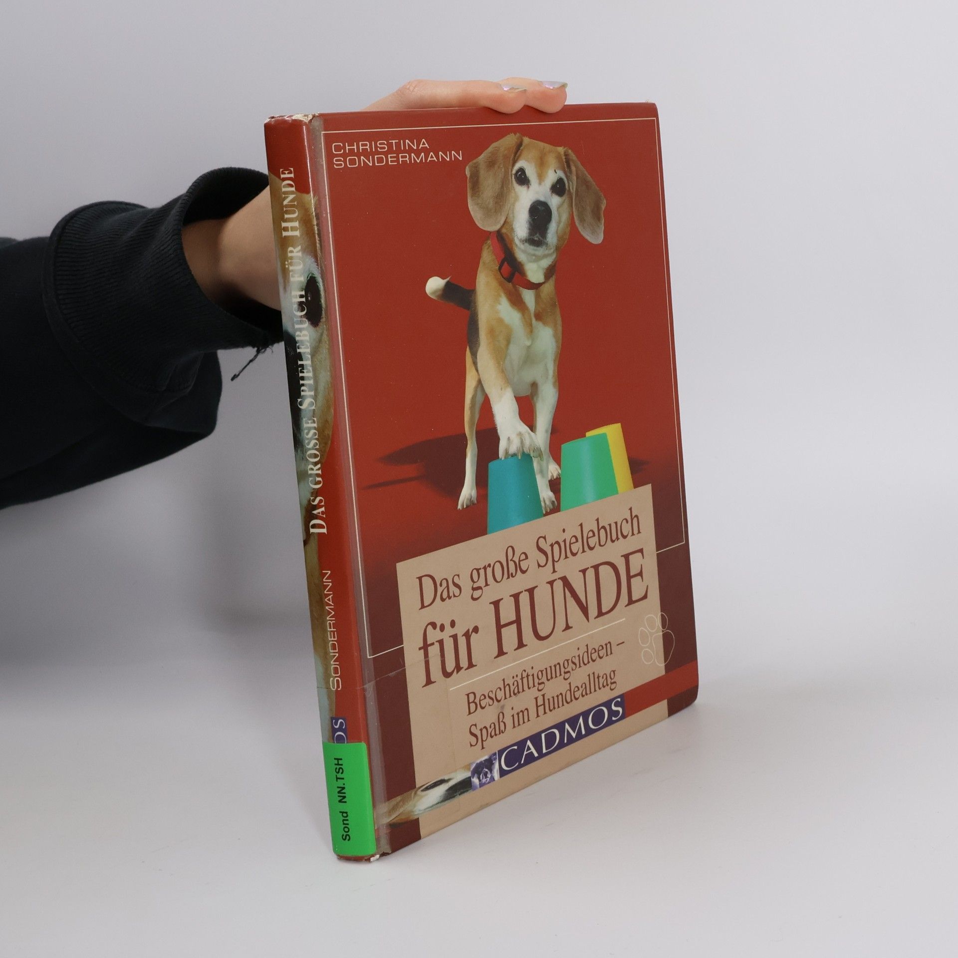 Das große Spielebuch für Hunde