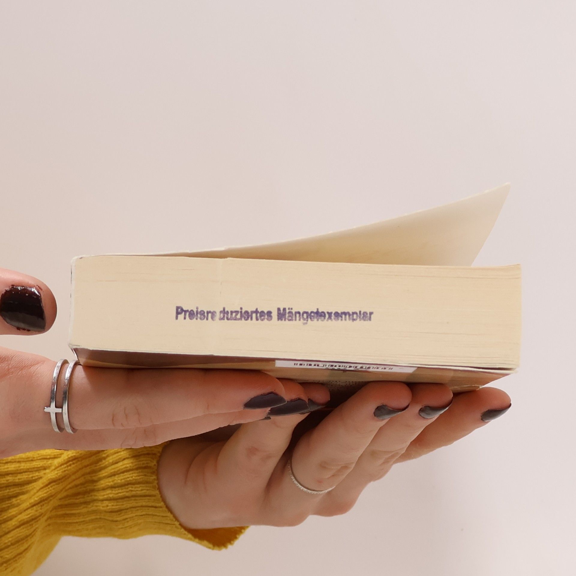 Susan Hastings Die Braut des Wikingers