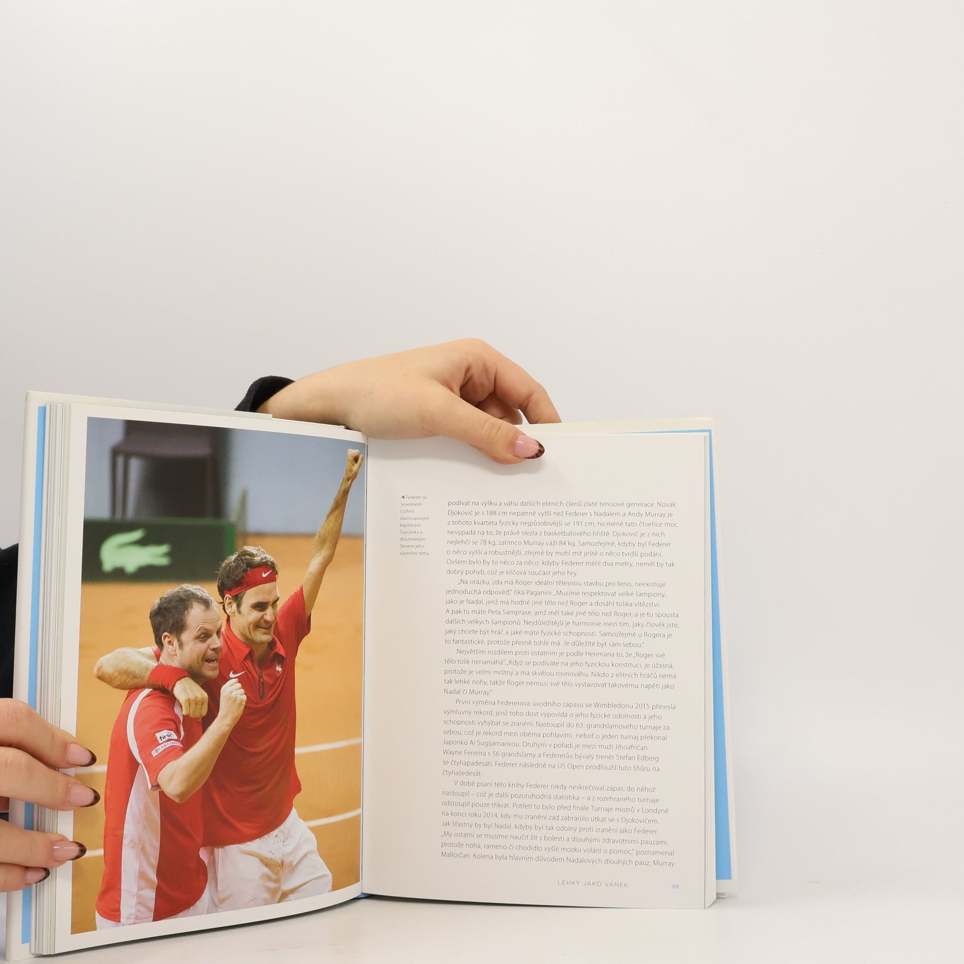 Mark Hodgkinson Fedegrafika : grafická biografie tenisového génia Rogera Federera